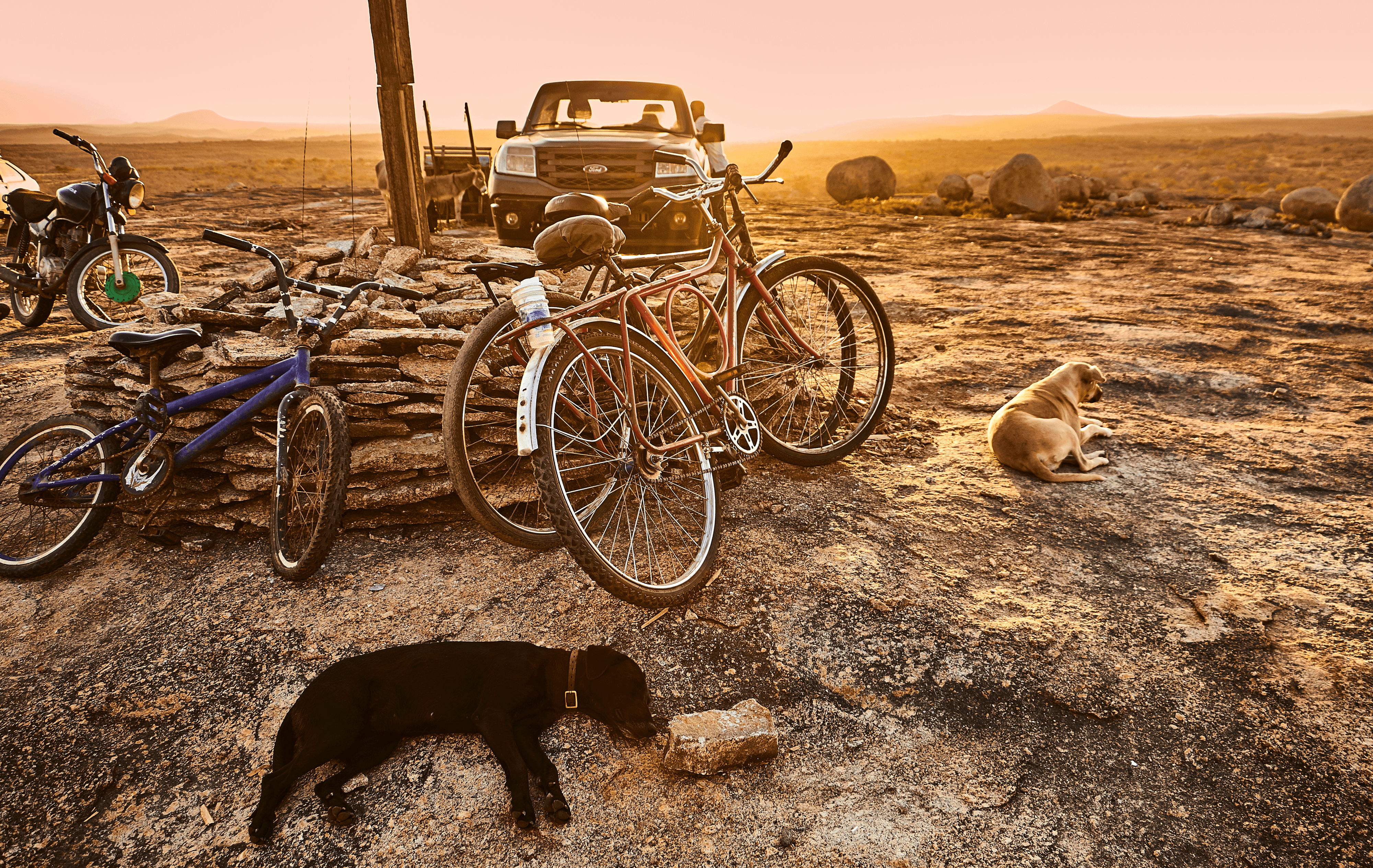 Strongest #24 - Rulers of The Land