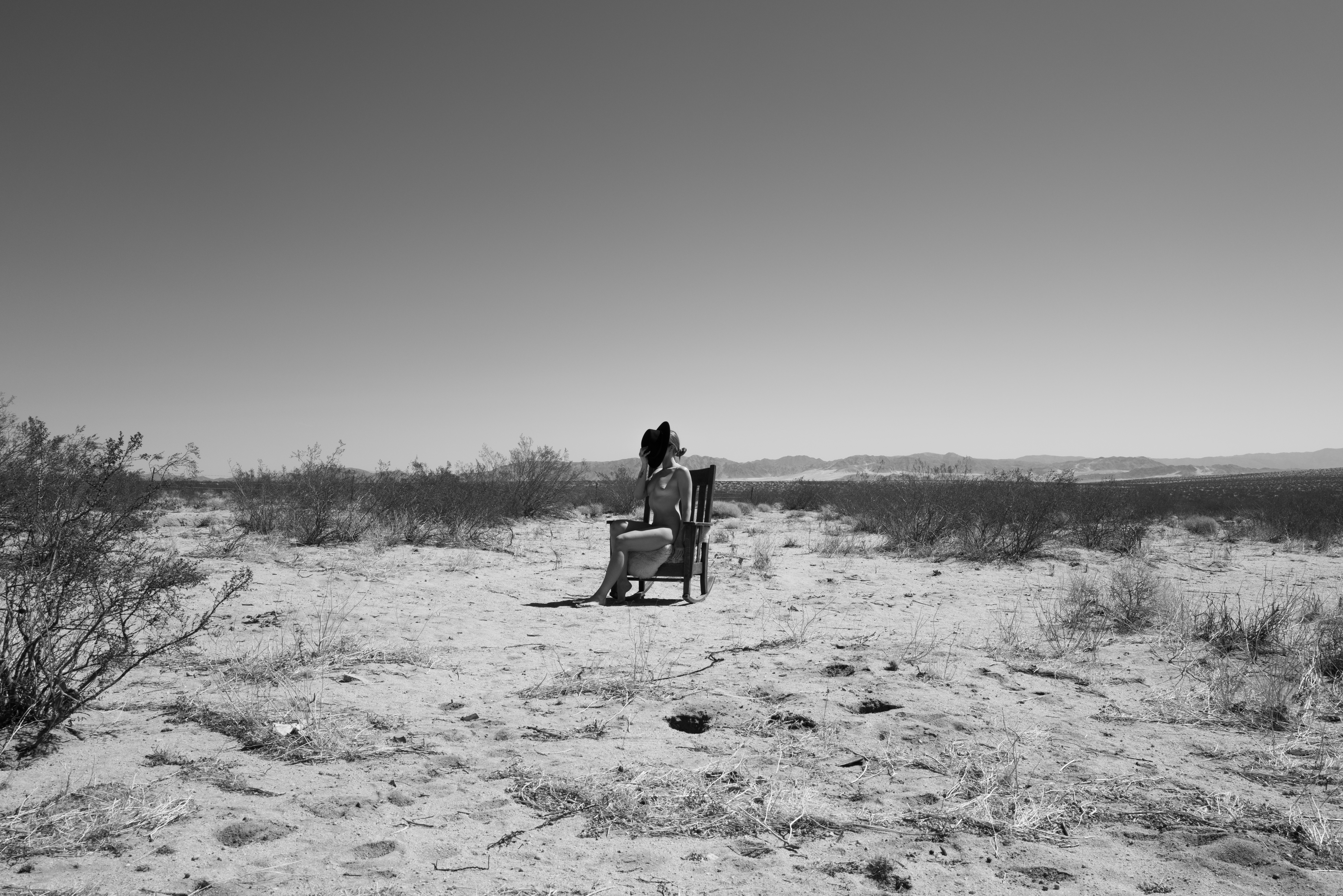 joshua tree no.7