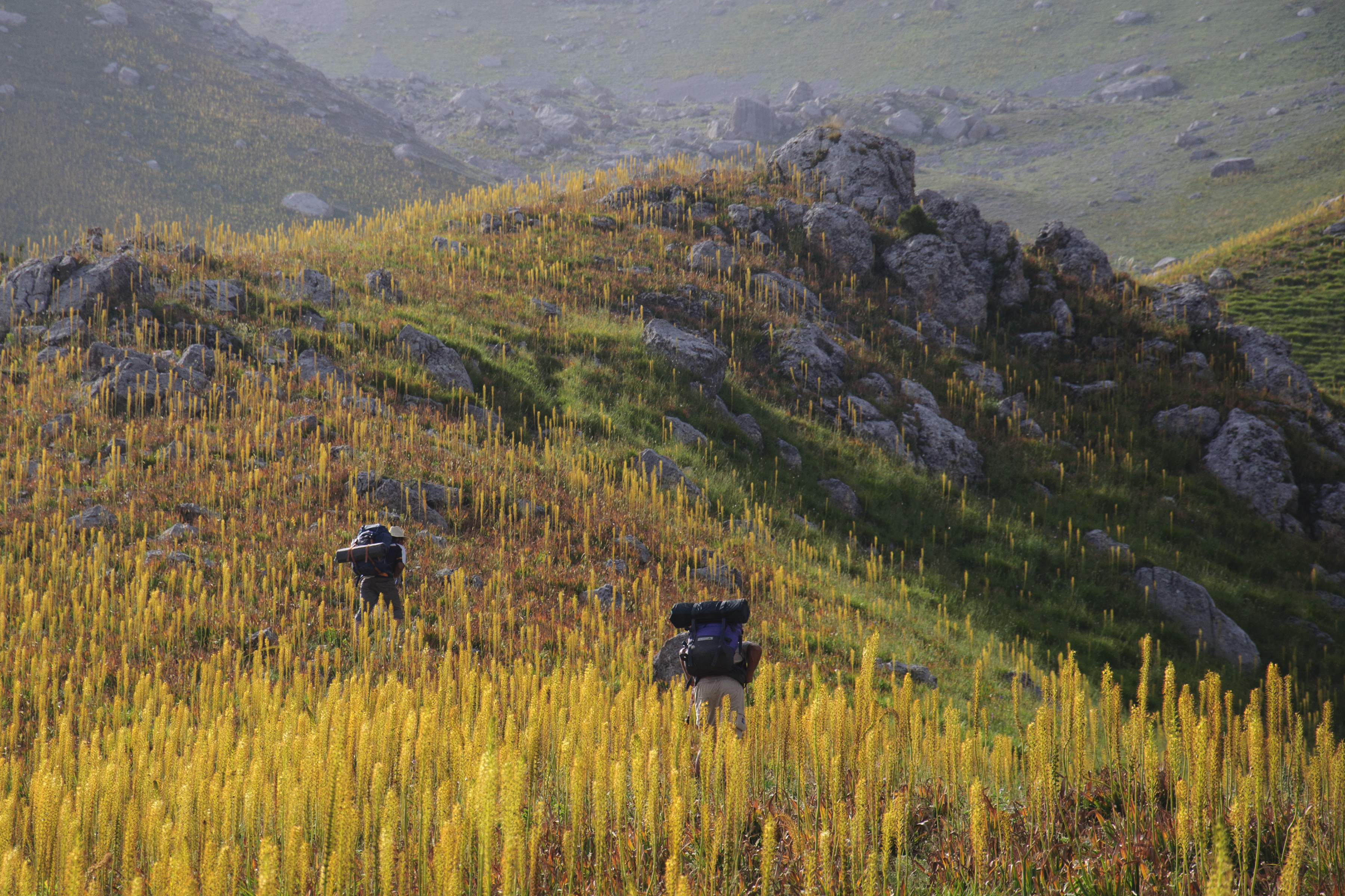 A Picture in Time #3