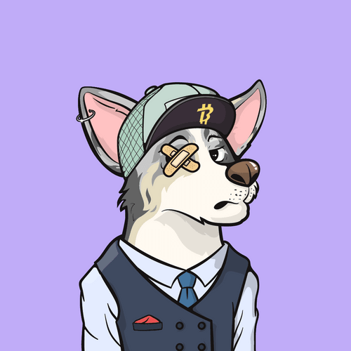 Approving Corgis #4792