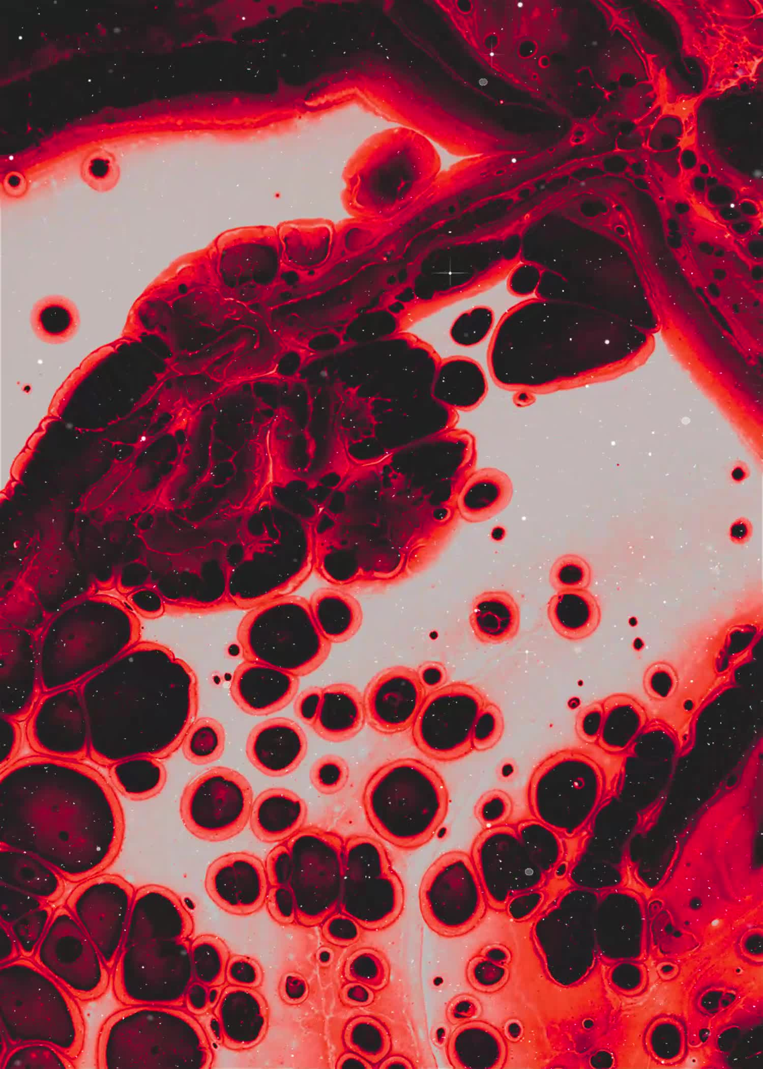 Museum of Contradictions by Maalavidaa #18/25