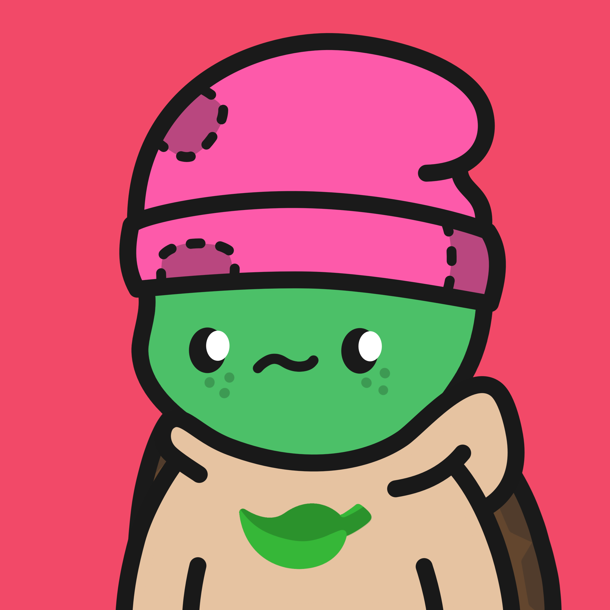Turtle Town #659