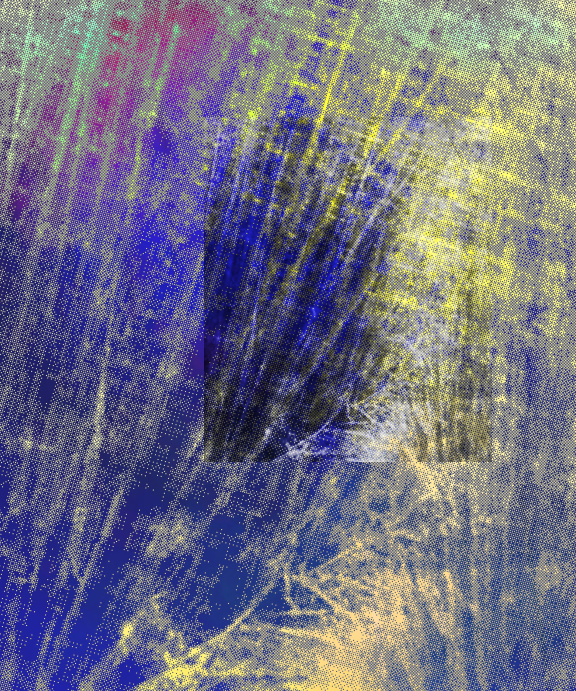 the spring begins with the first rainstorm #267