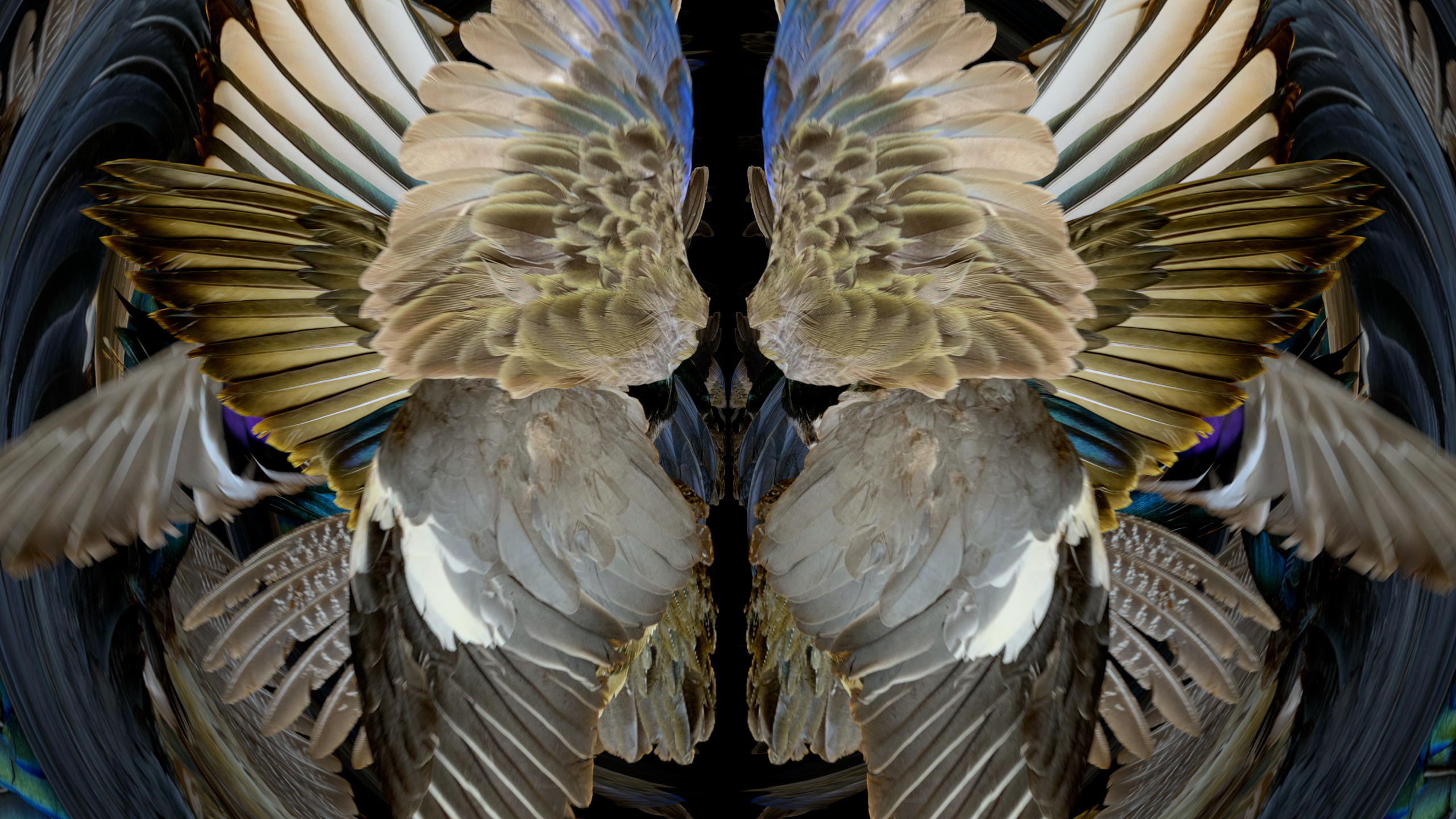 Fuga delle Sirene VII