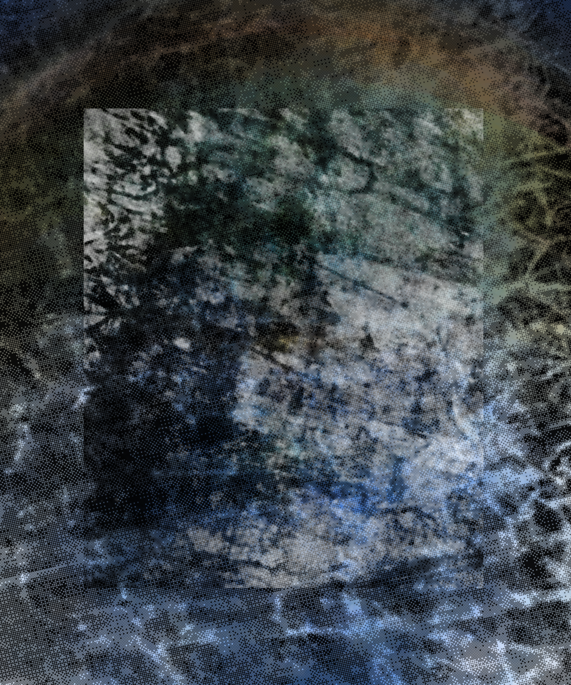 the spring begins with the first rainstorm #431