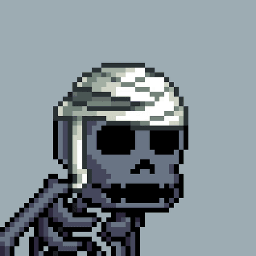 Skull of Nirvana #2638