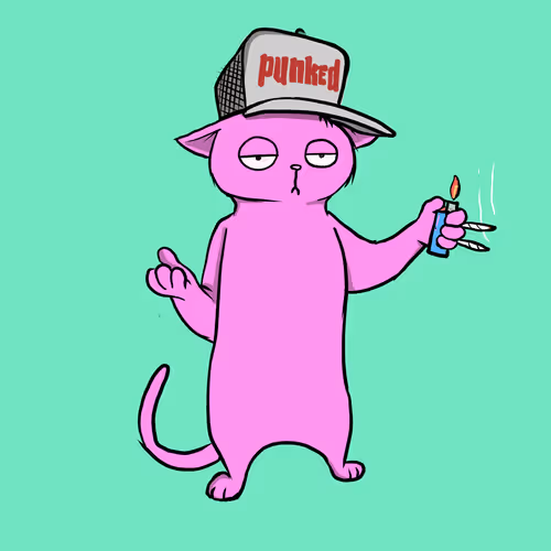 Blazed Cat #8126
