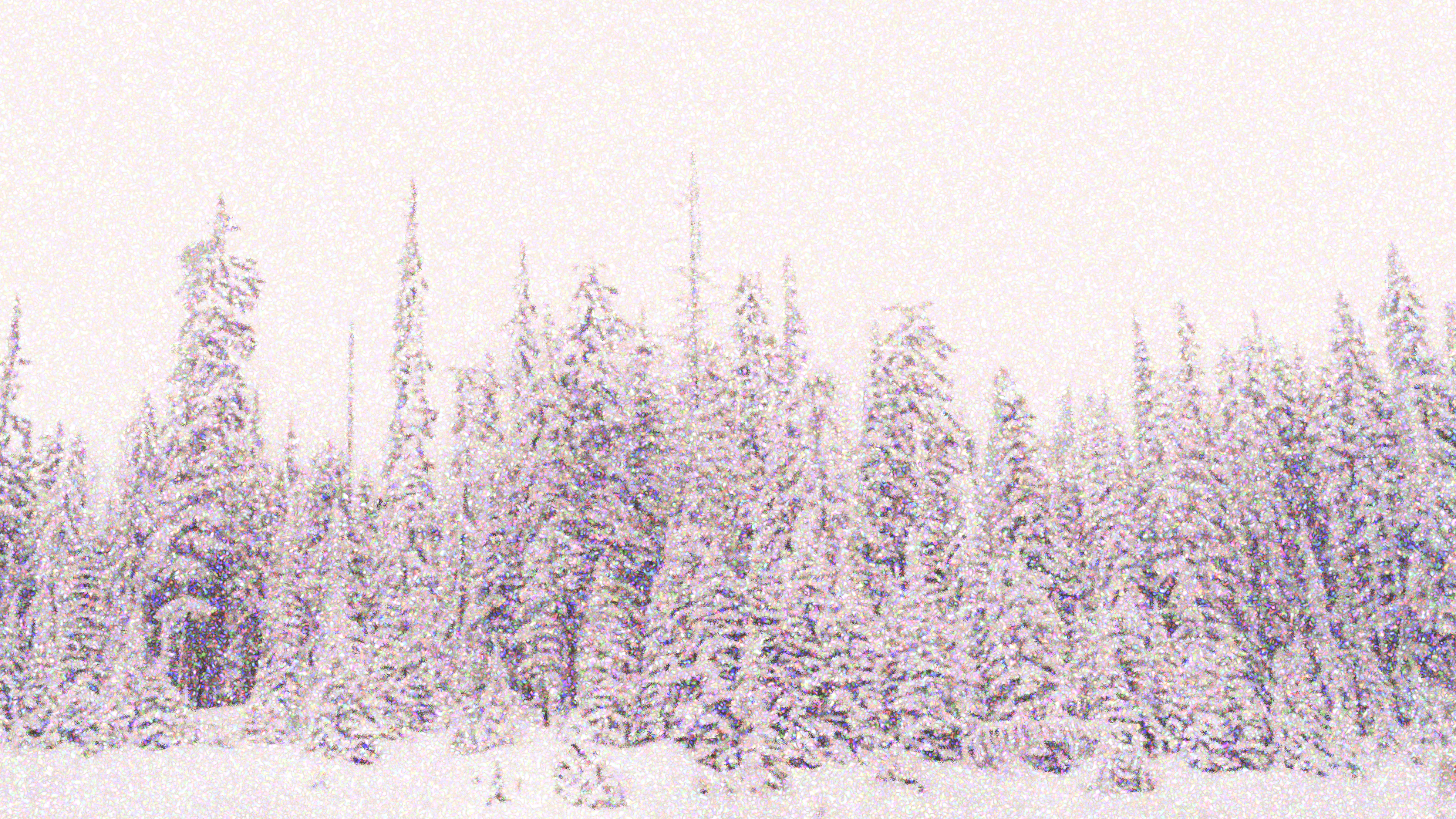 seasons delight