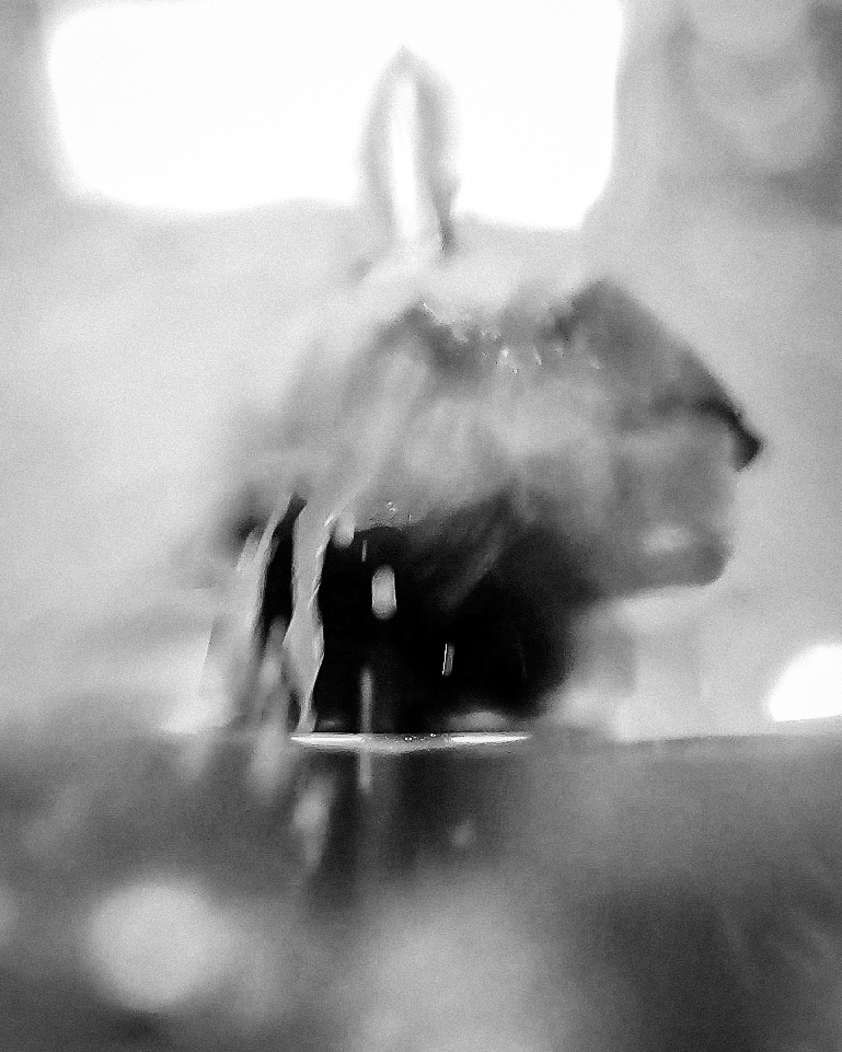 Scrub Sink Thoughts #4/5