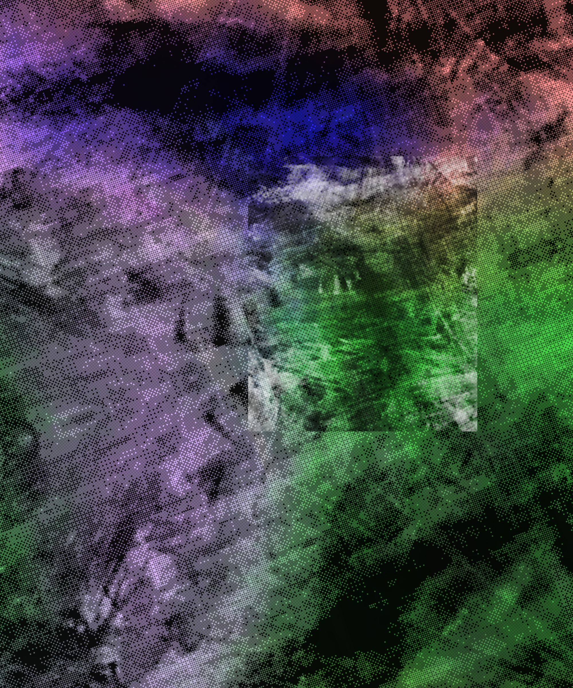 the spring begins with the first rainstorm #375