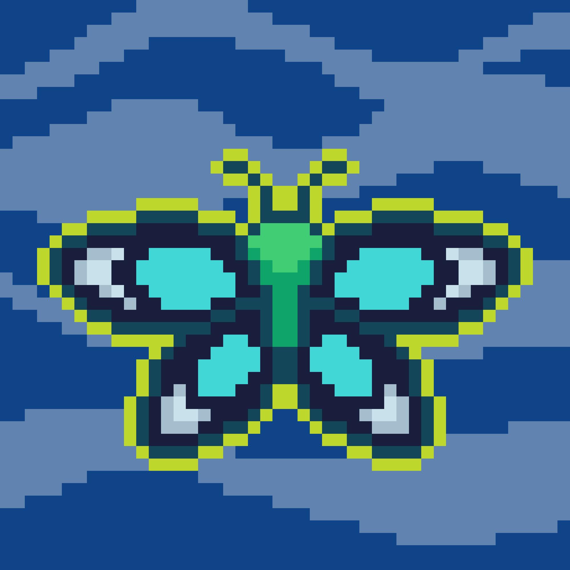 MOTH VALLEY PASS #494