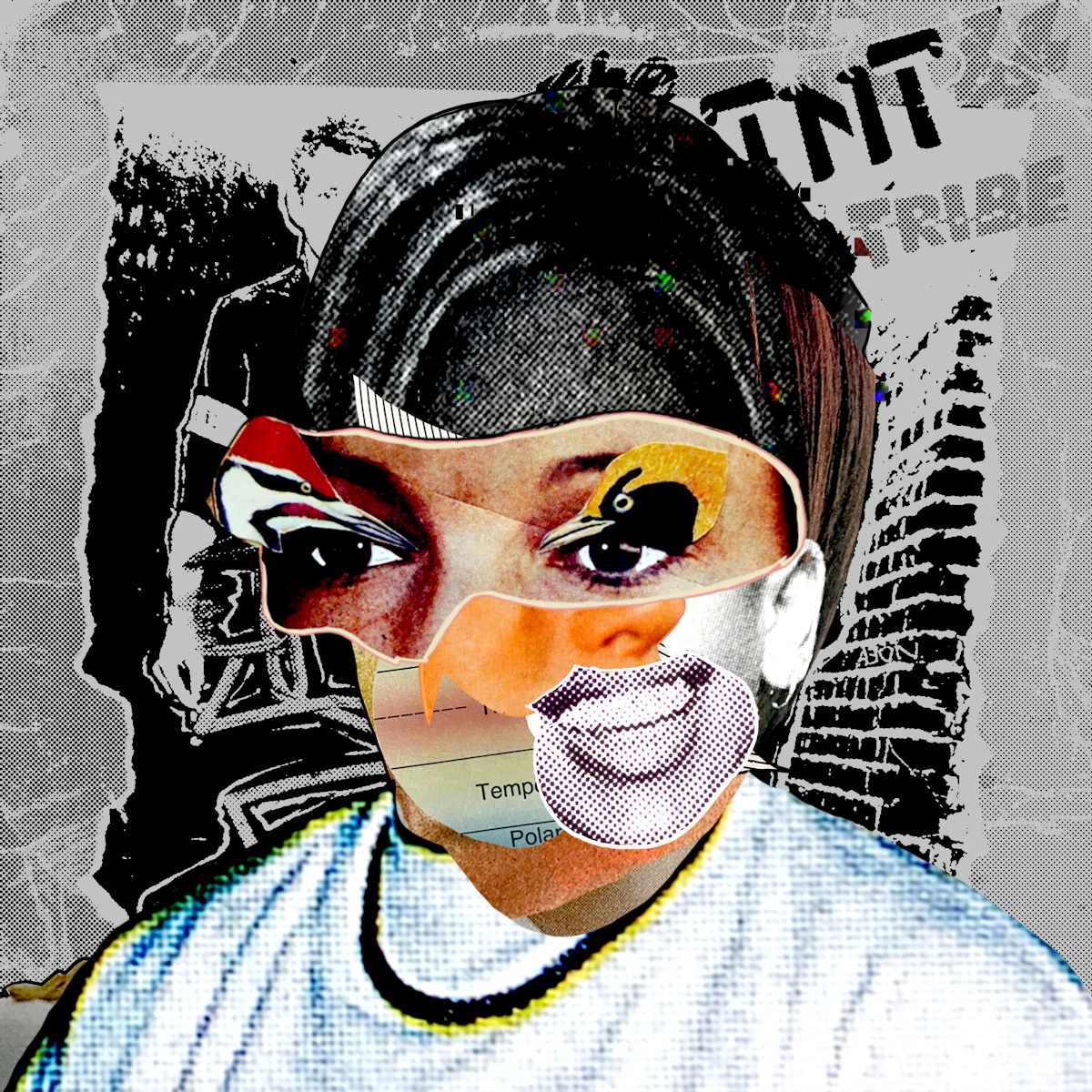 THE NOOSPHERE TRIBE  #2222