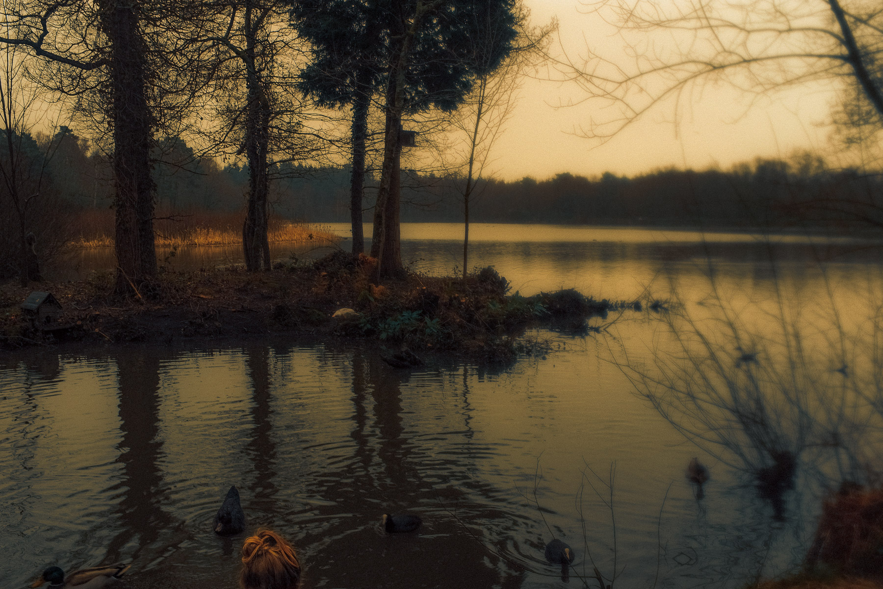 Serene