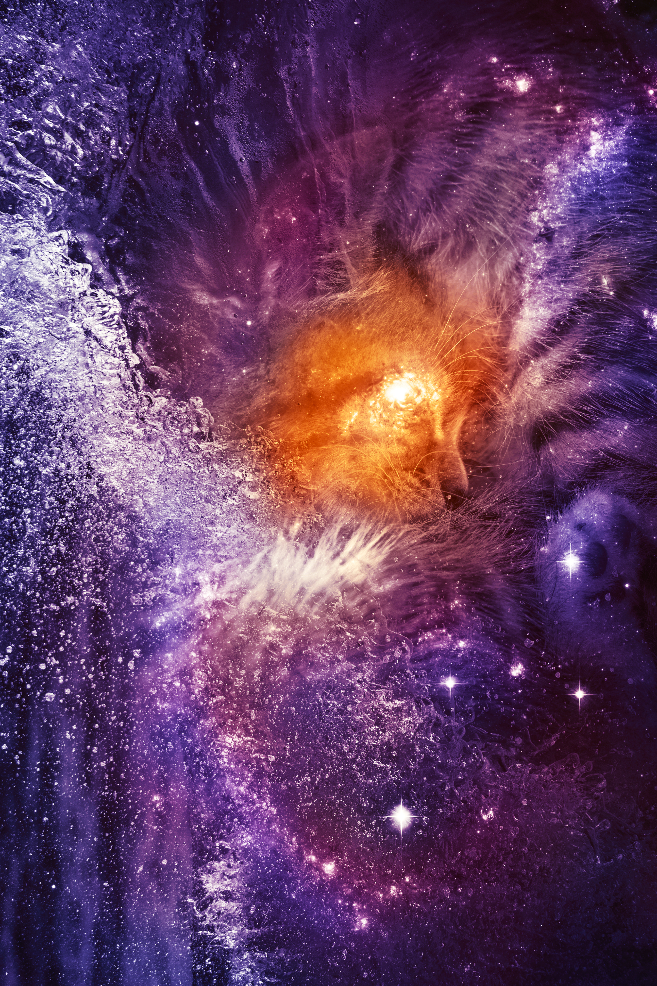 Space Cat Splash