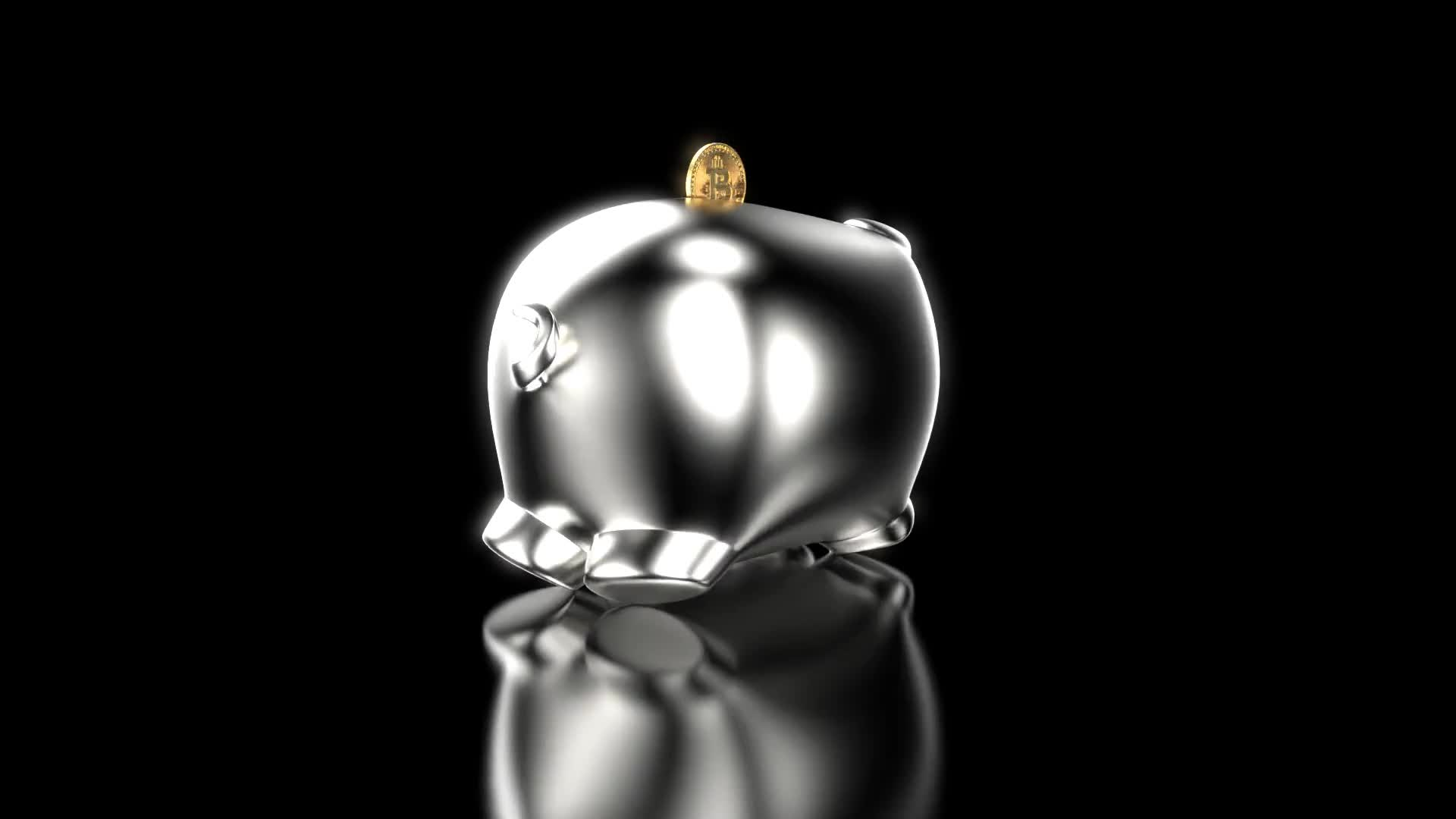 Silver Piggy #18/52