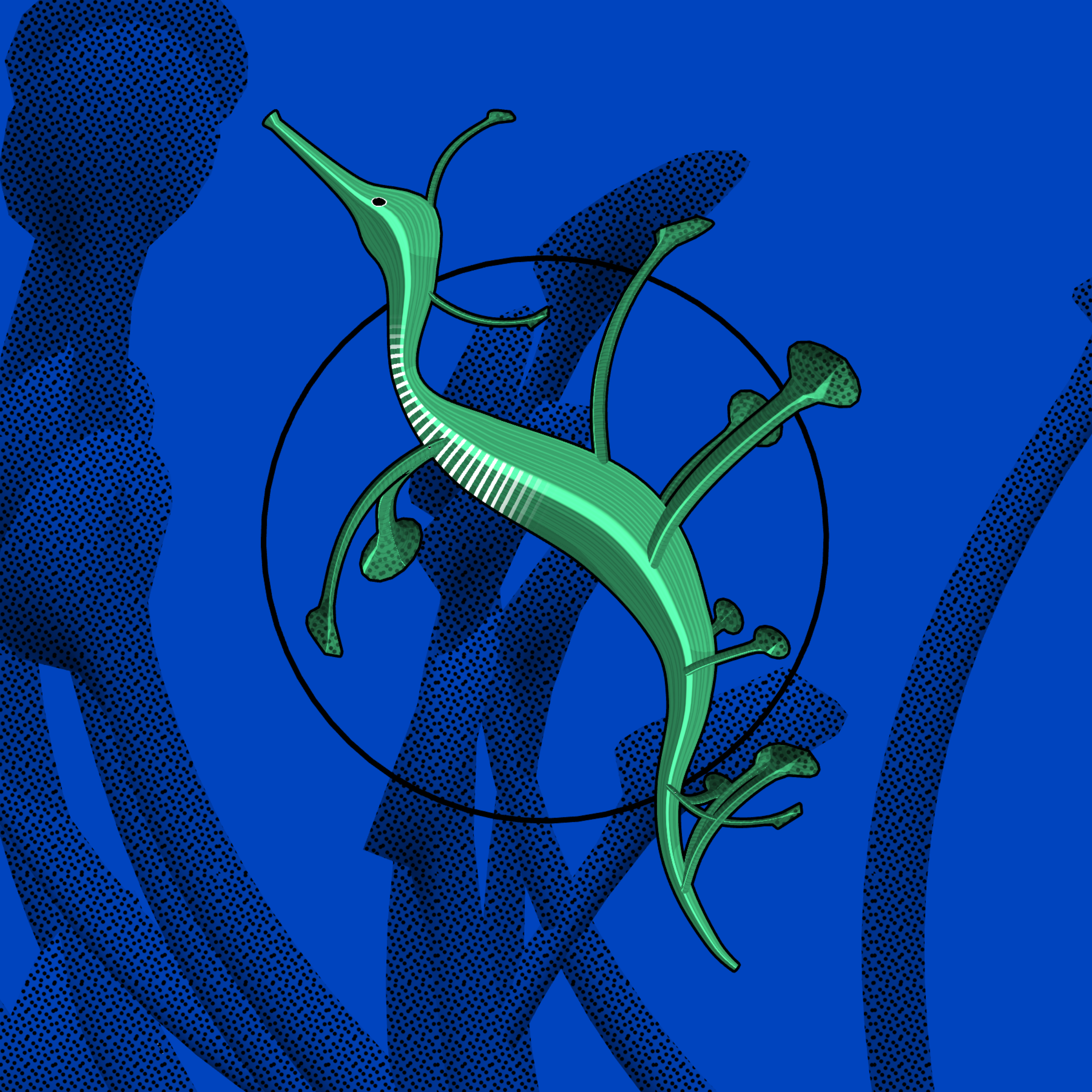 Seadragons #700