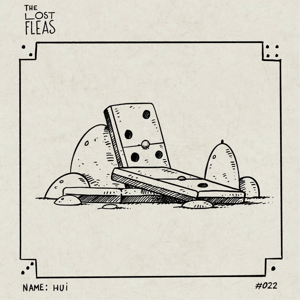 Hui #022