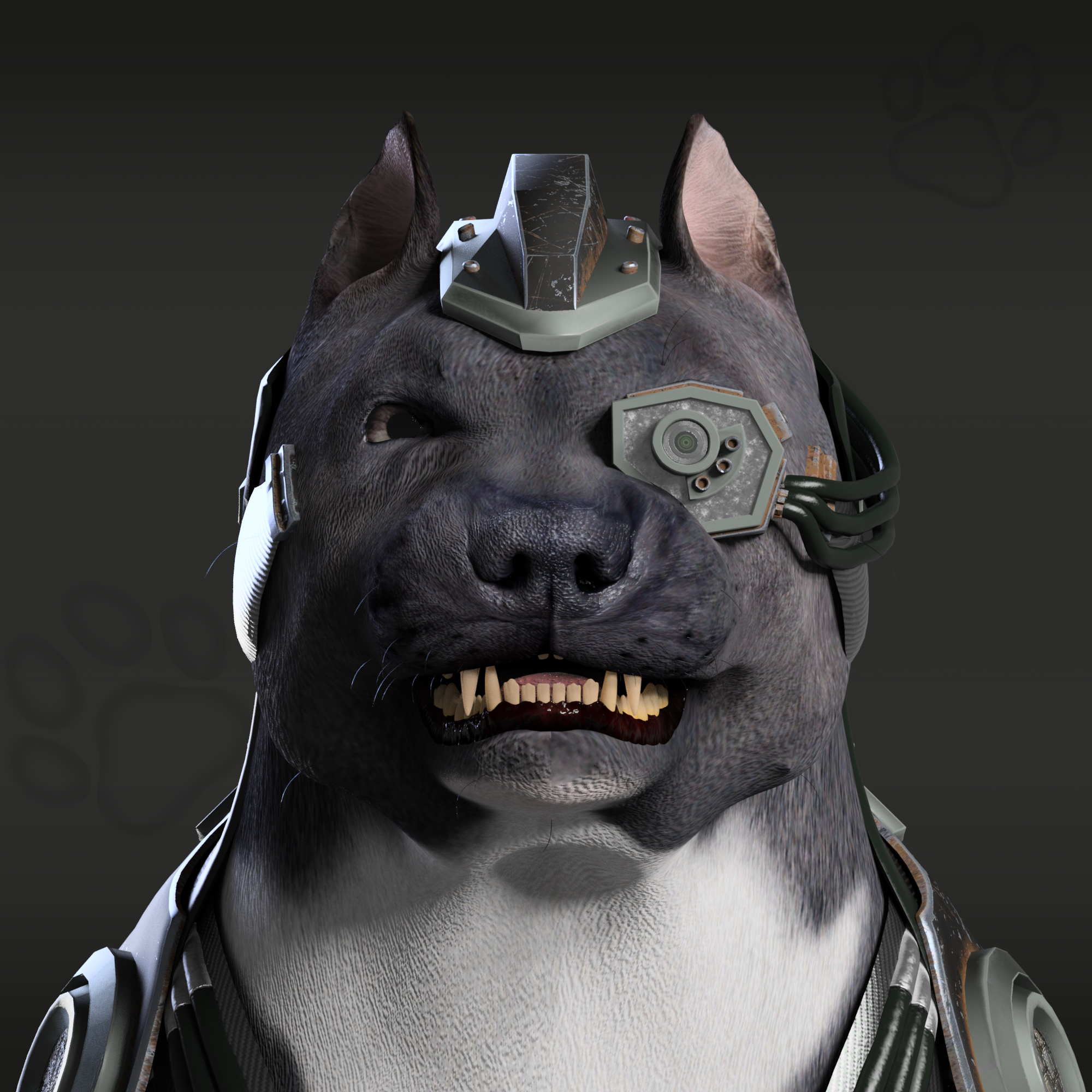 NFPet #438