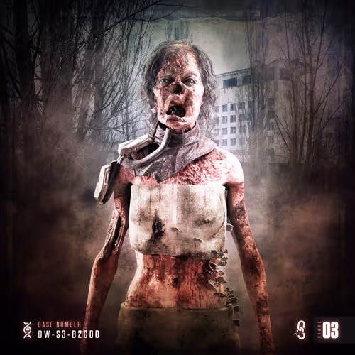 Stage 03: DW-S3-B2C0O