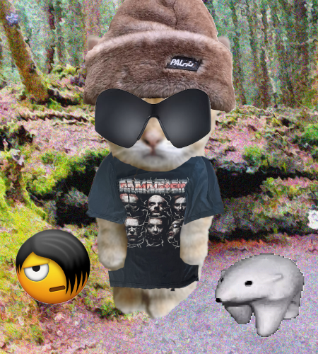 collage image-0 for the collection