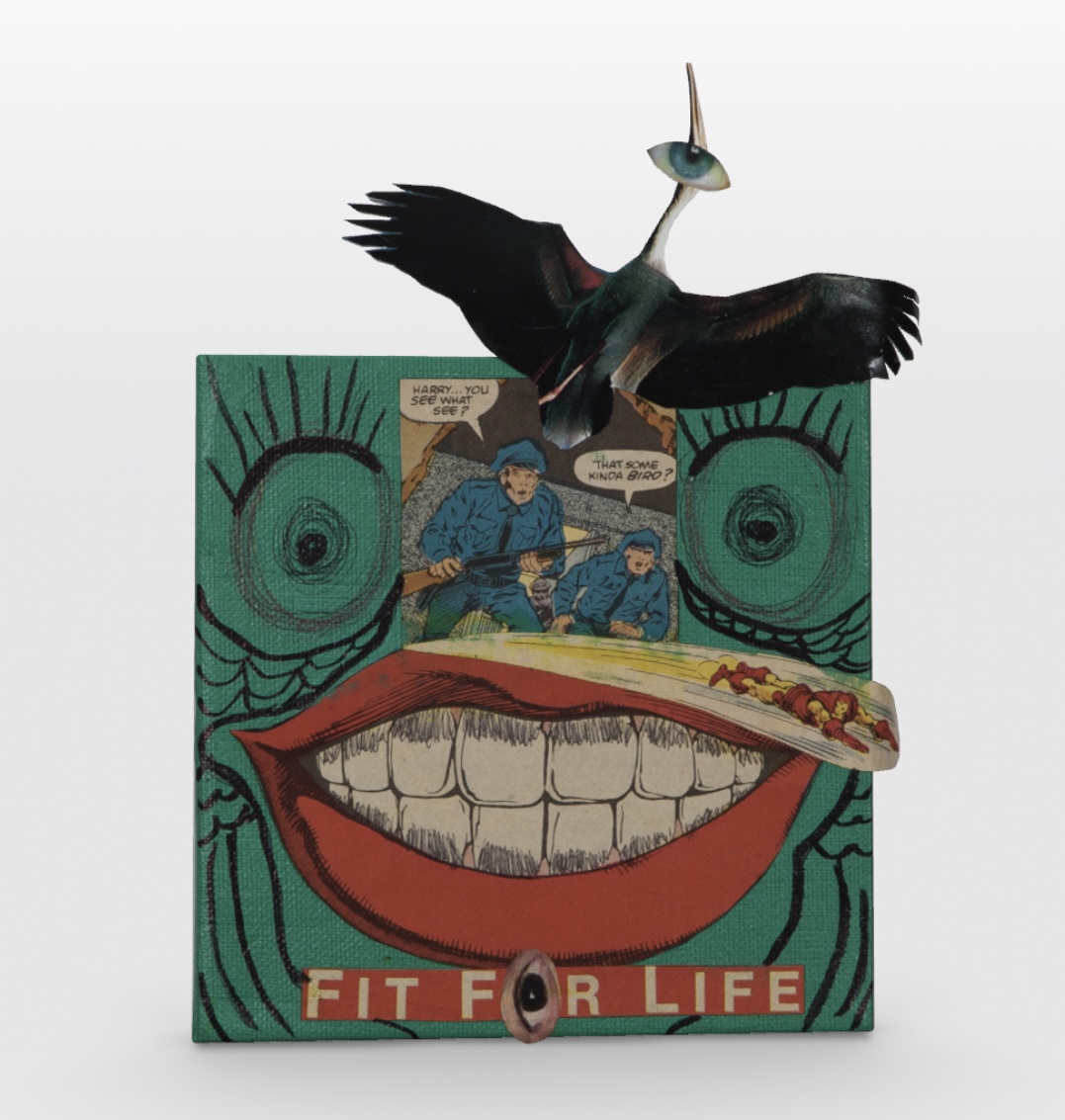 Cognition #166. Fit For Life