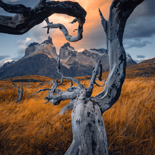 Wilderness to Blockchain #12 - Reaching for the sky