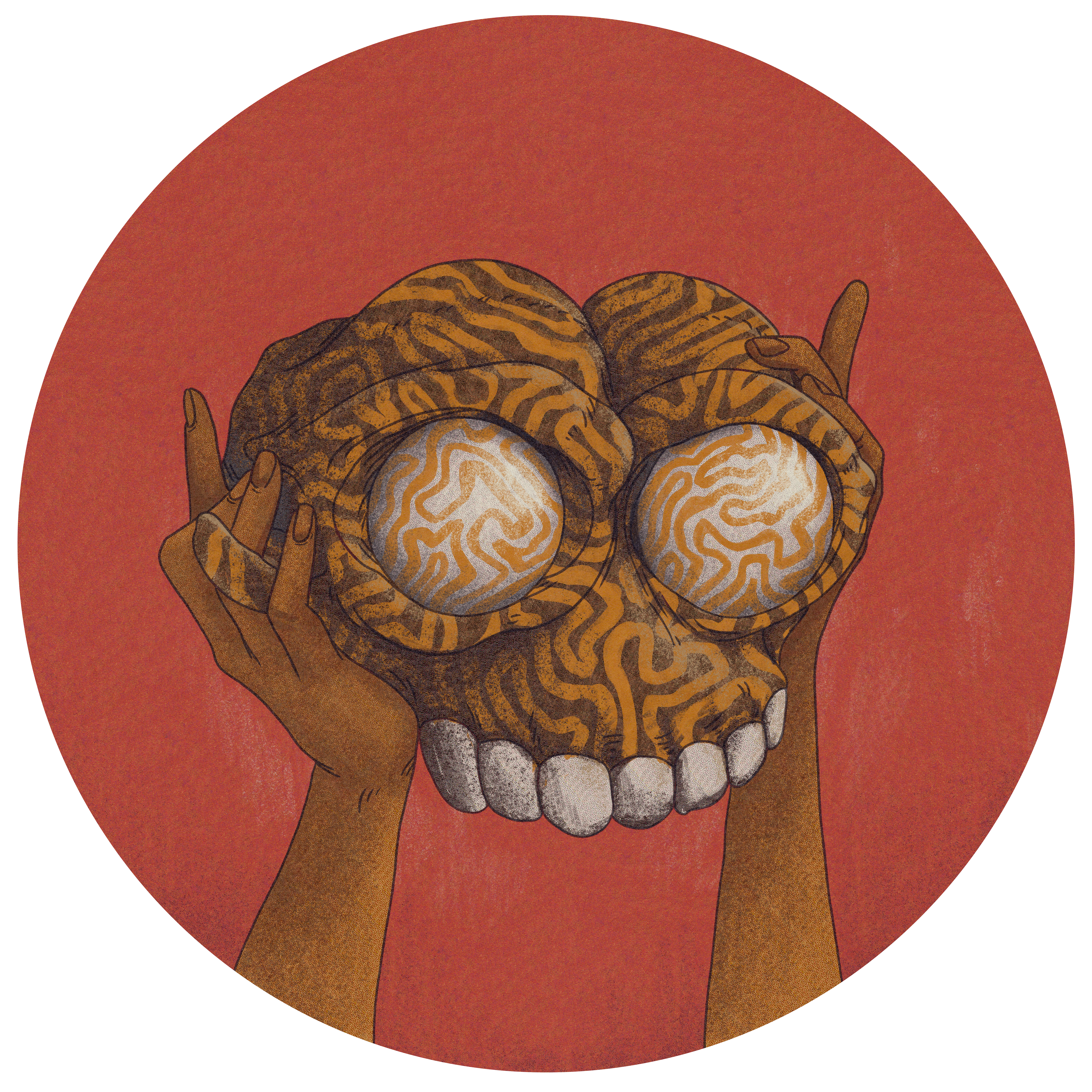 FAKE Momentum Is The Cipher