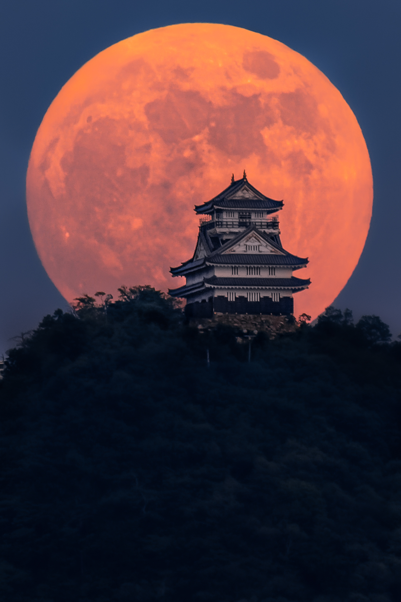 The Moon and Japanese Castles