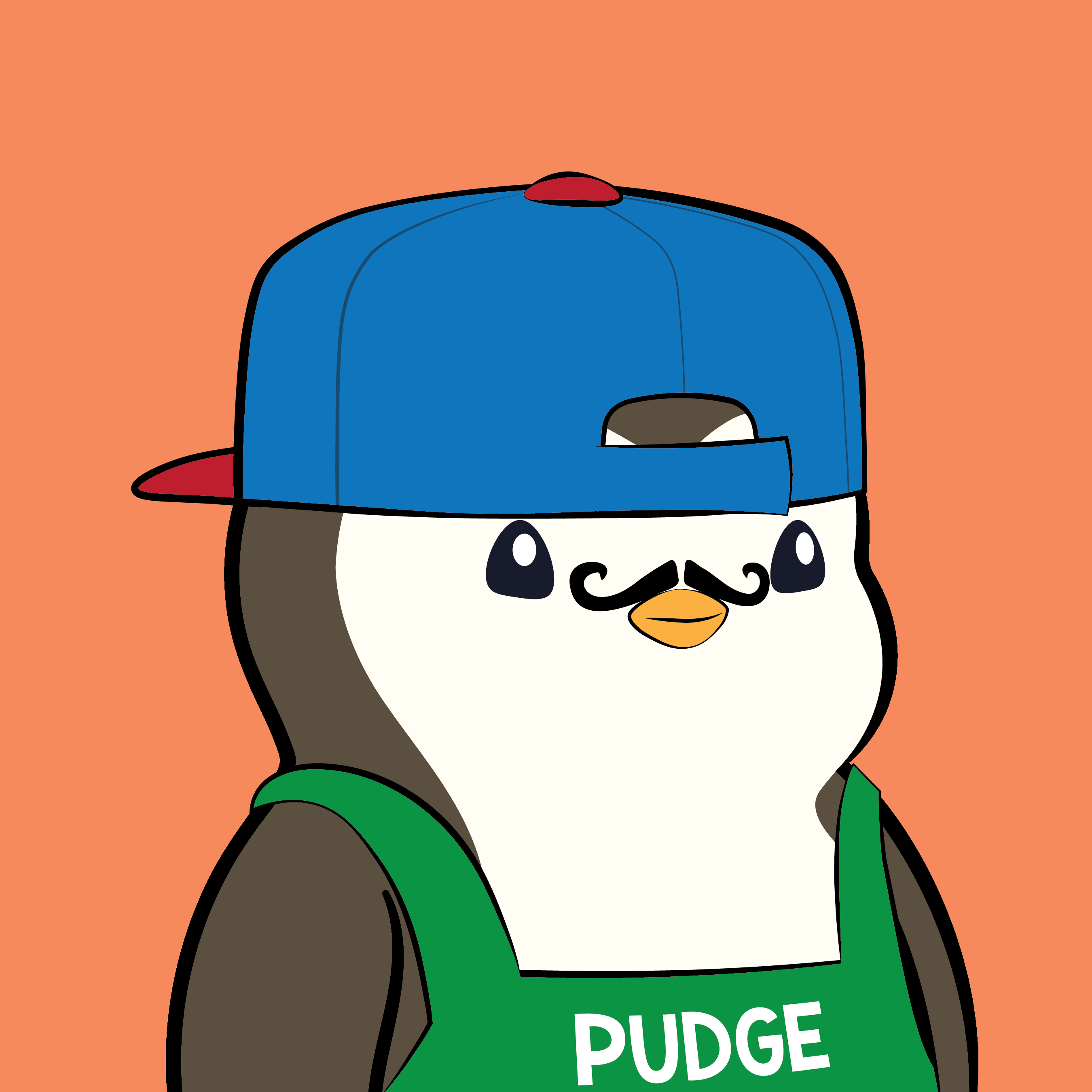 Pudgy #4696