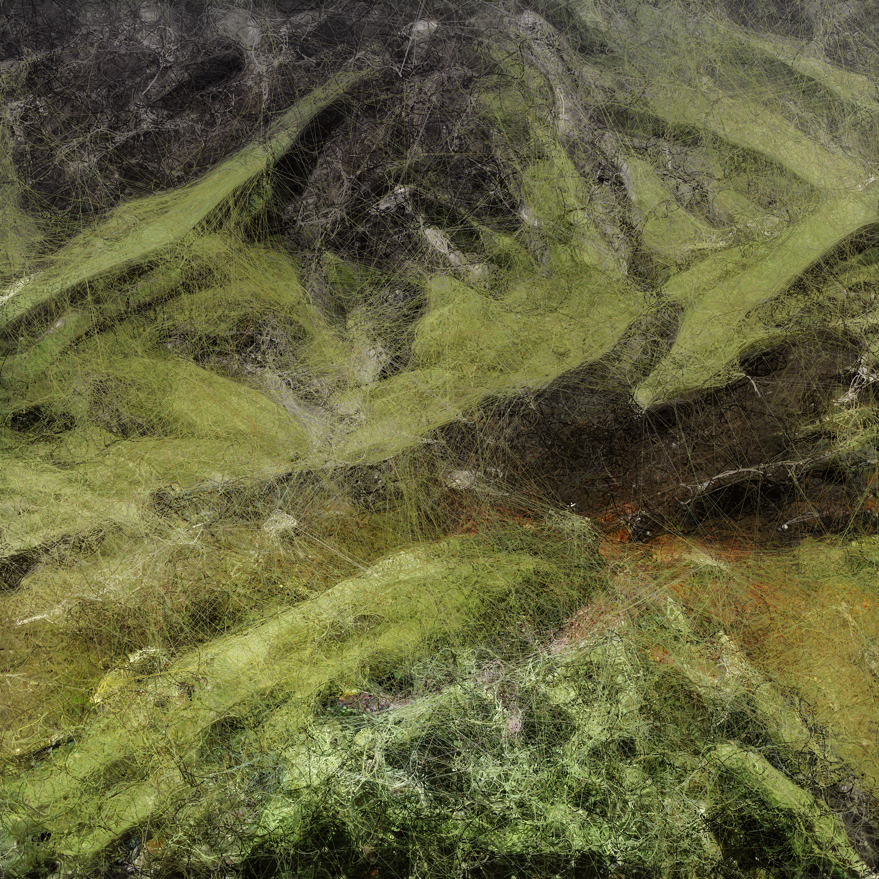 Landscapes — 10011101100010000010110100011001100111100000001000100