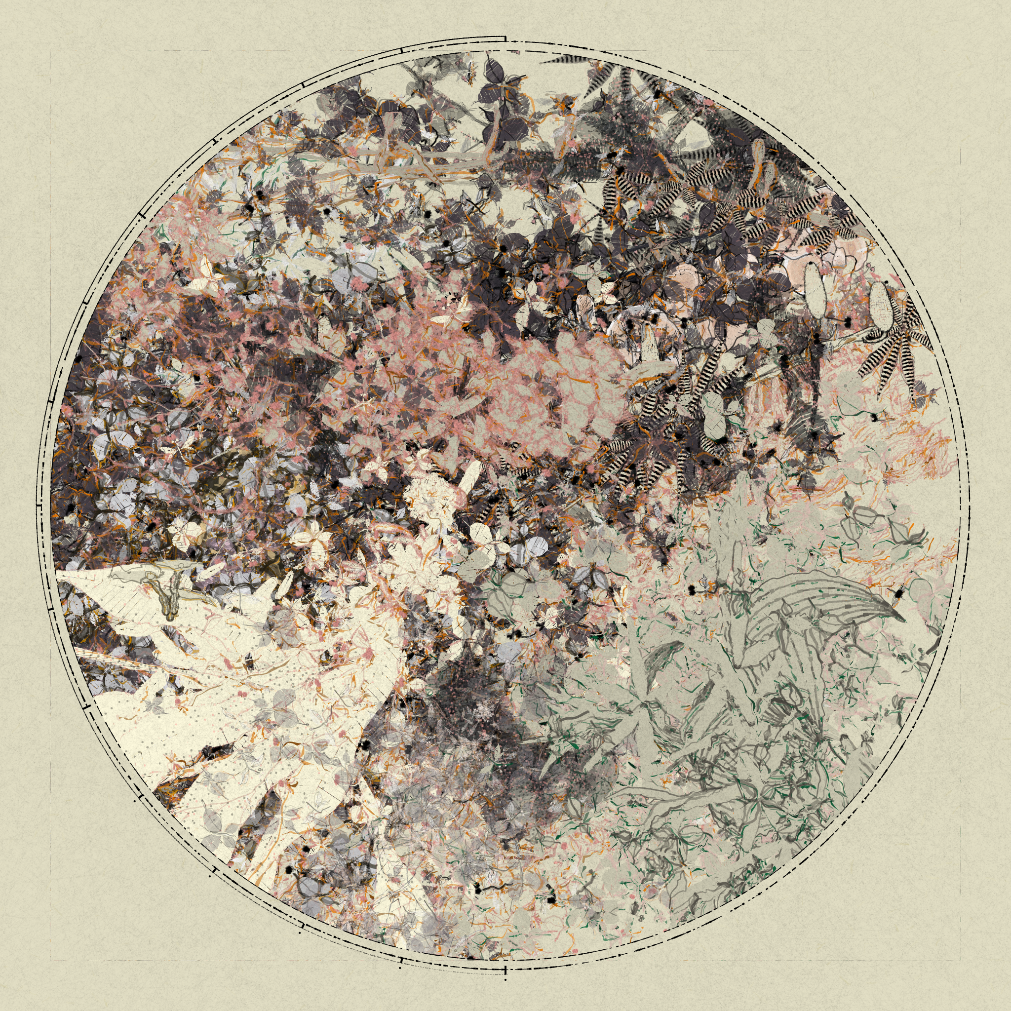 Polypaths | 植徑集 #10