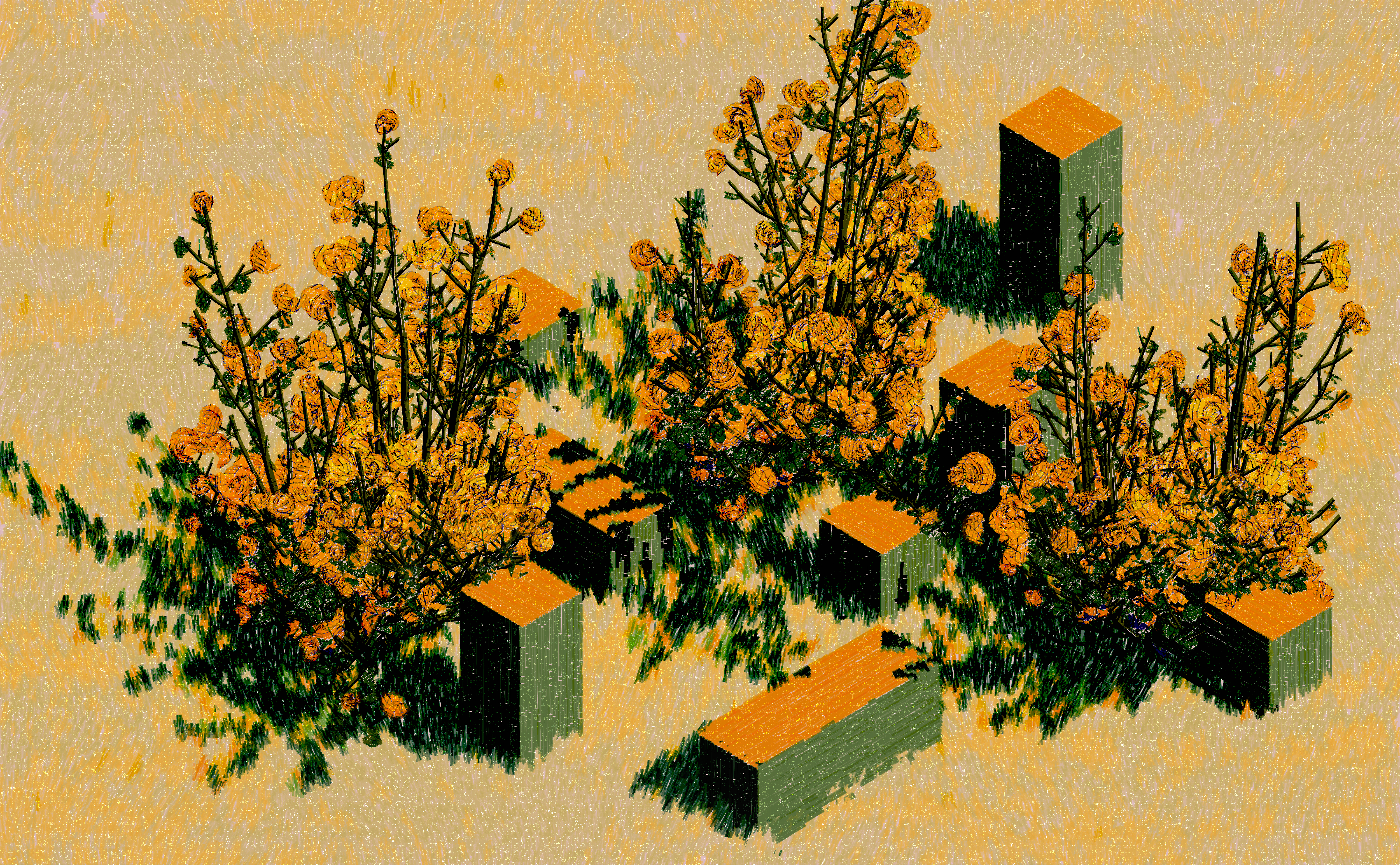 Sunlight through Wild Roses #2