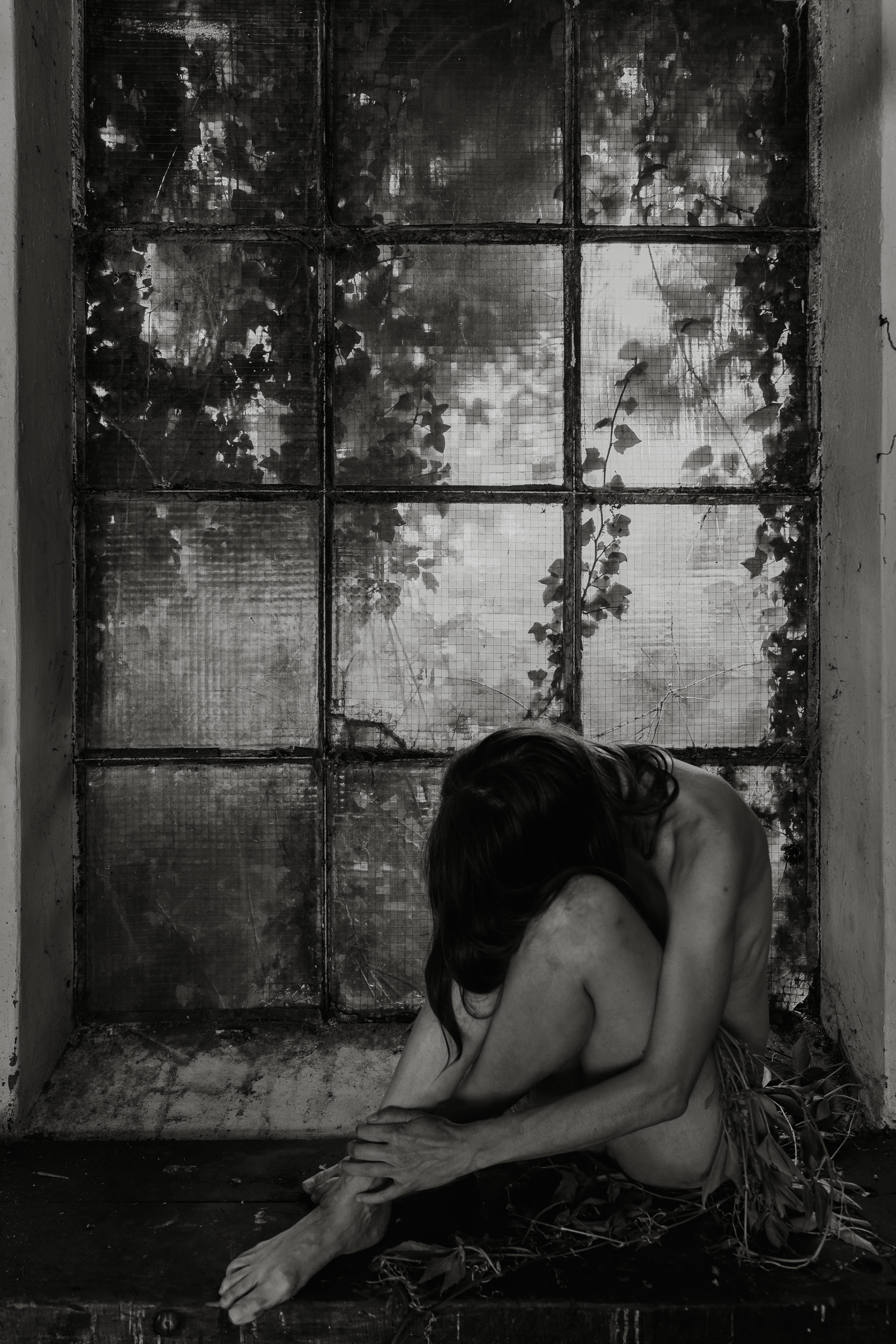 Nature's Remembrance 4