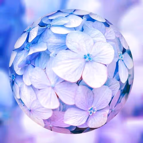 Marbles World : Hydrangea 4/5