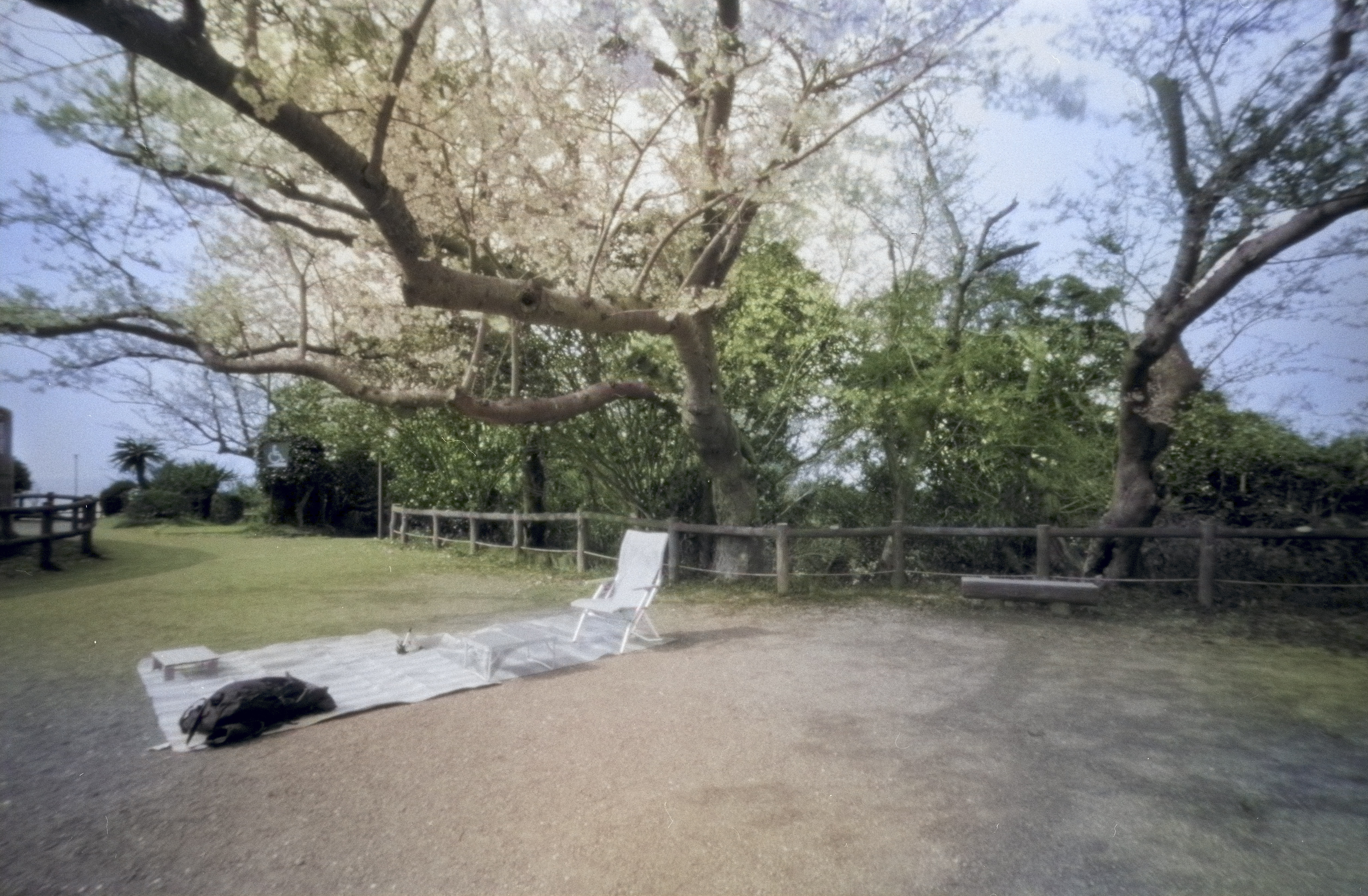 Park 01