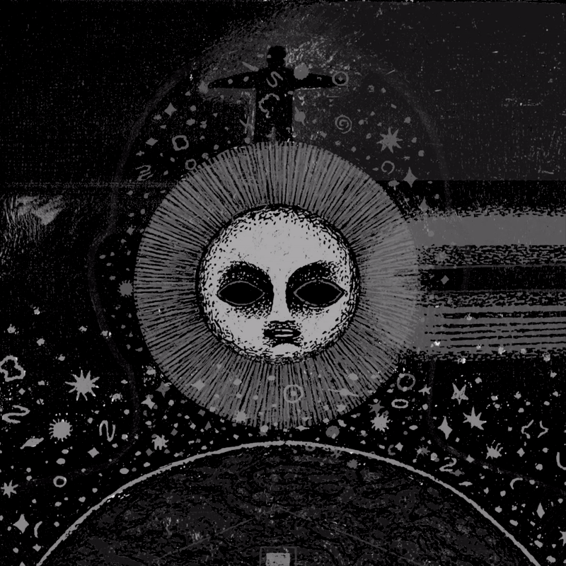 NORTH STAR: HALLUCINATE