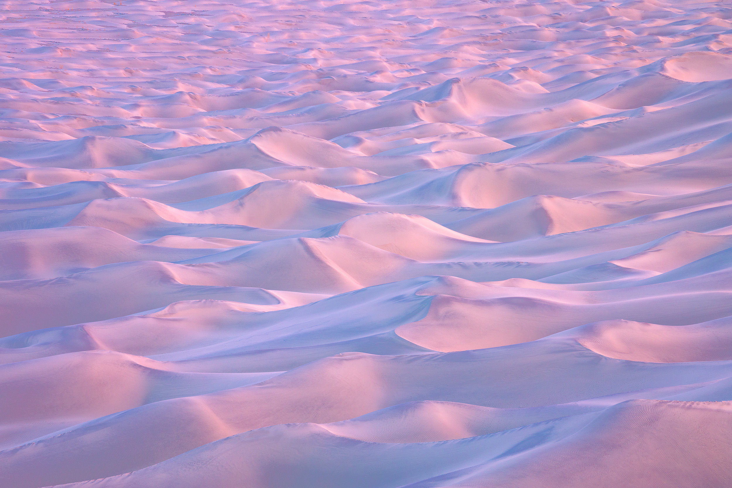 Mojave Winds #6 - Endless Fields