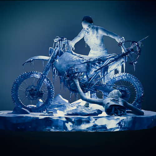 Frozen Walkers Bike