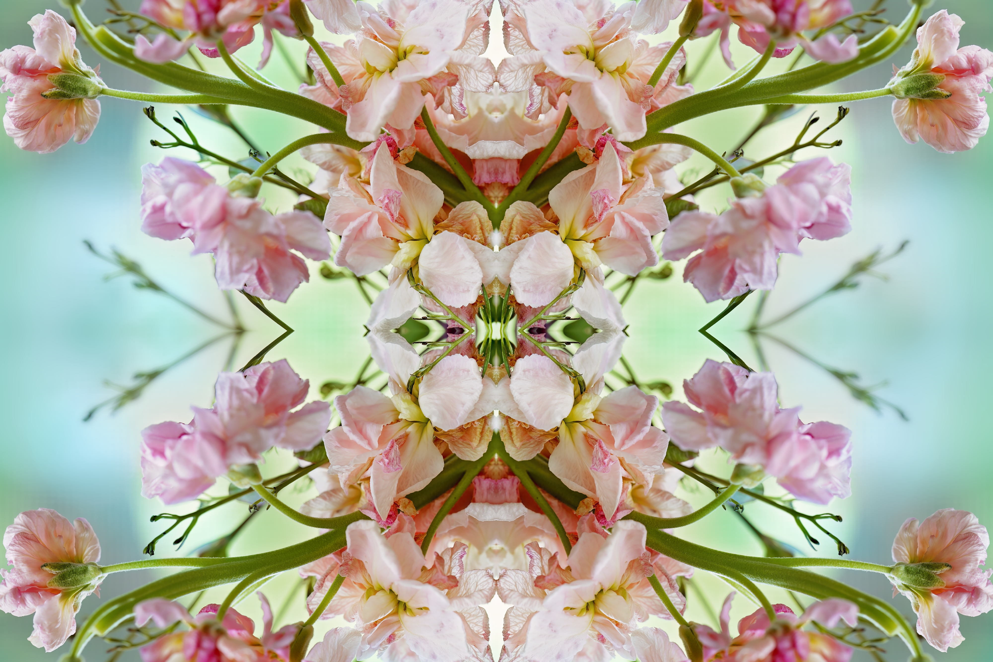 Divinely Crafted In Love #8/12