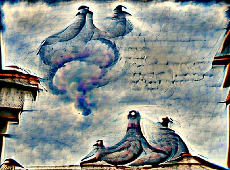 TWO PIGEONS on the roof with their little round heads on the sky part of their bodies containing a thought that began before pigeons and before heads - the same thought that I sense at the bottom of