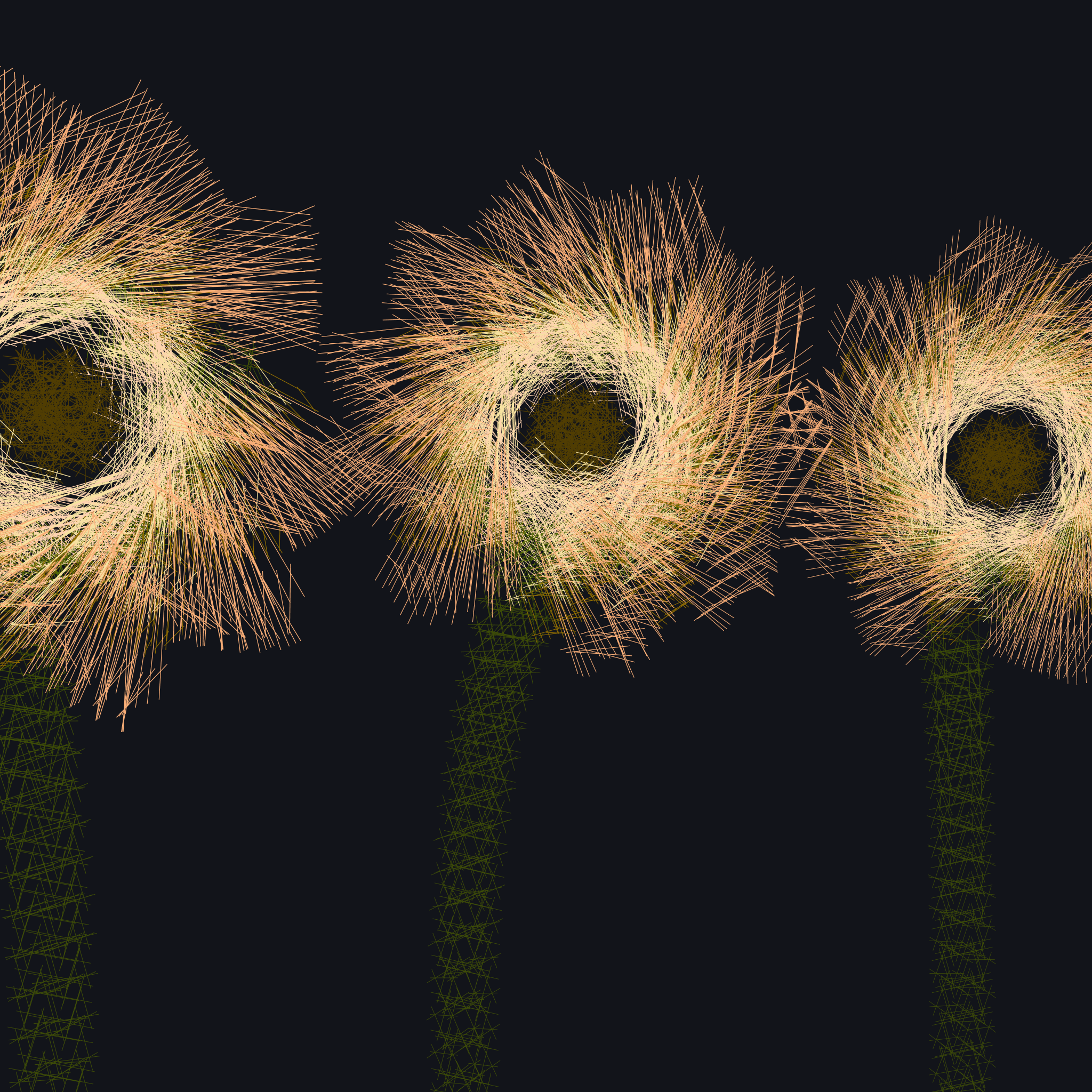 sunflowers