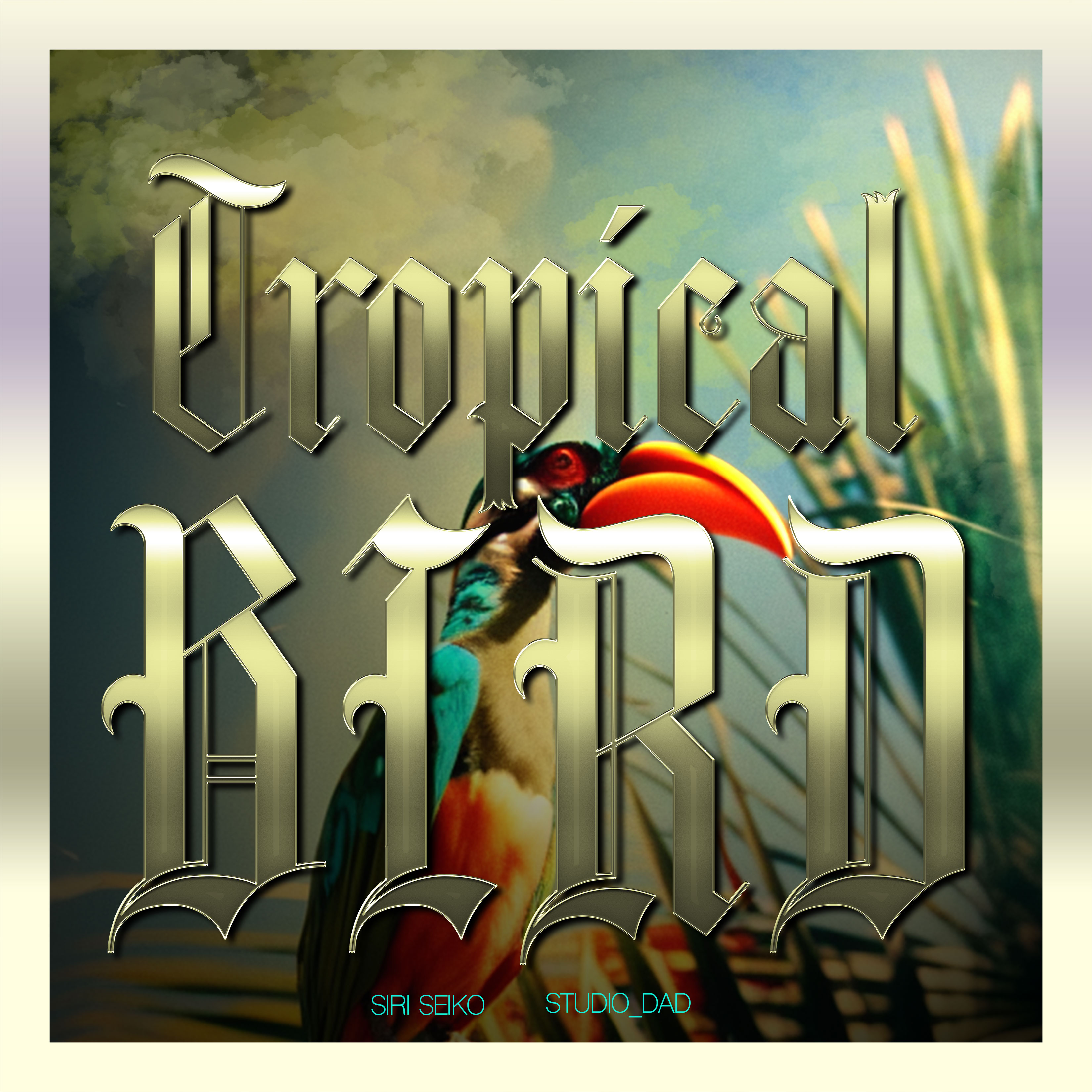 TROPICAL BIRD - Siri Seiko / Studio_Dad 24