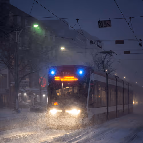 Dark Freeze #16-Polar Express