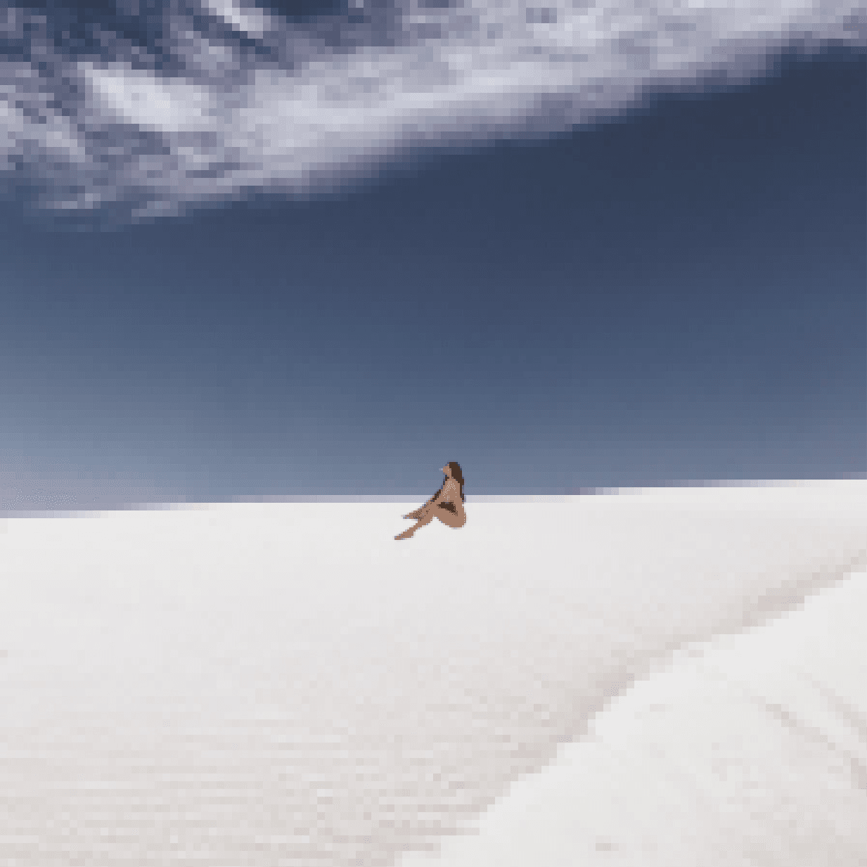 Nude Pixels in Nature_009