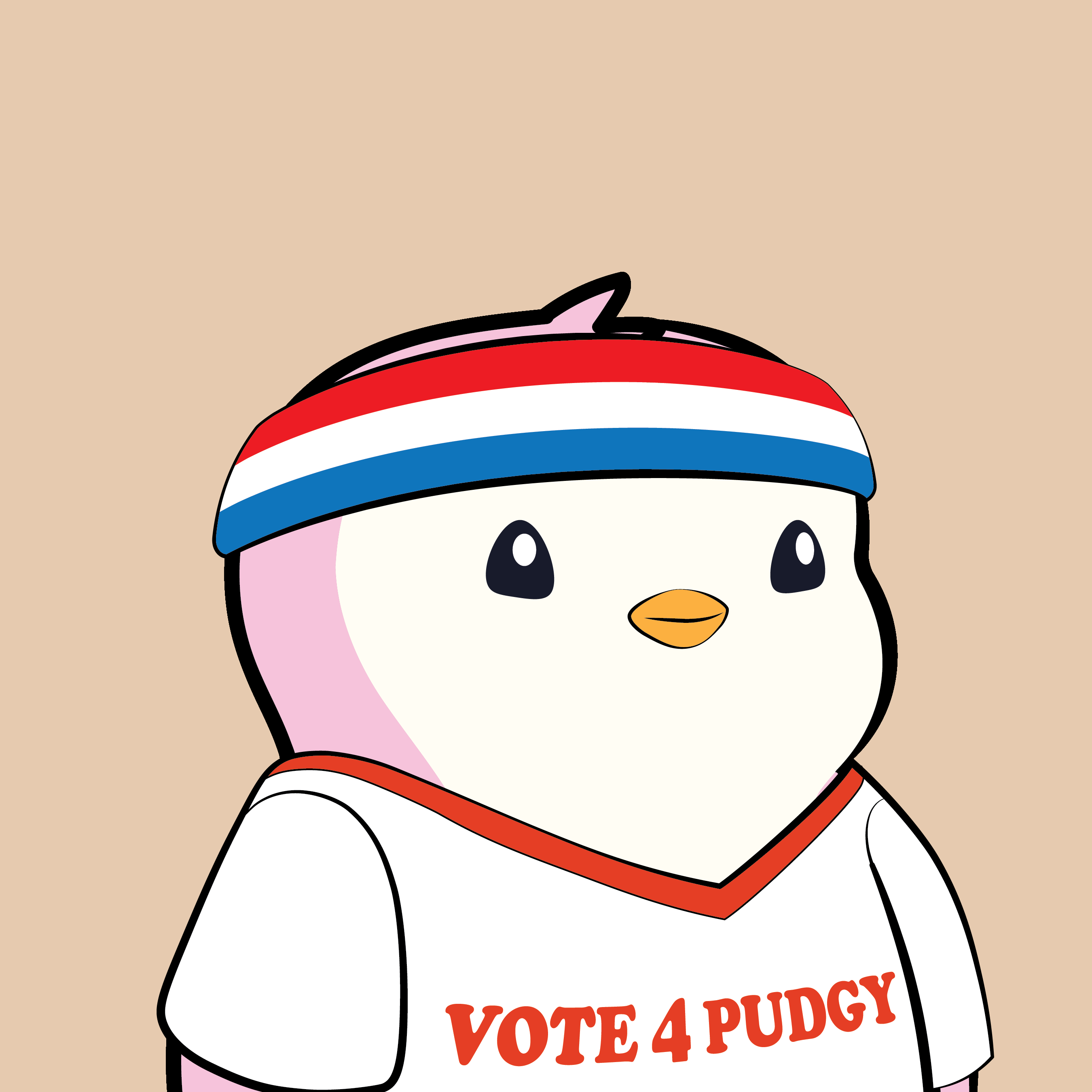 Pudgy #2858