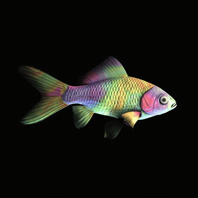 CryptoFish #2787