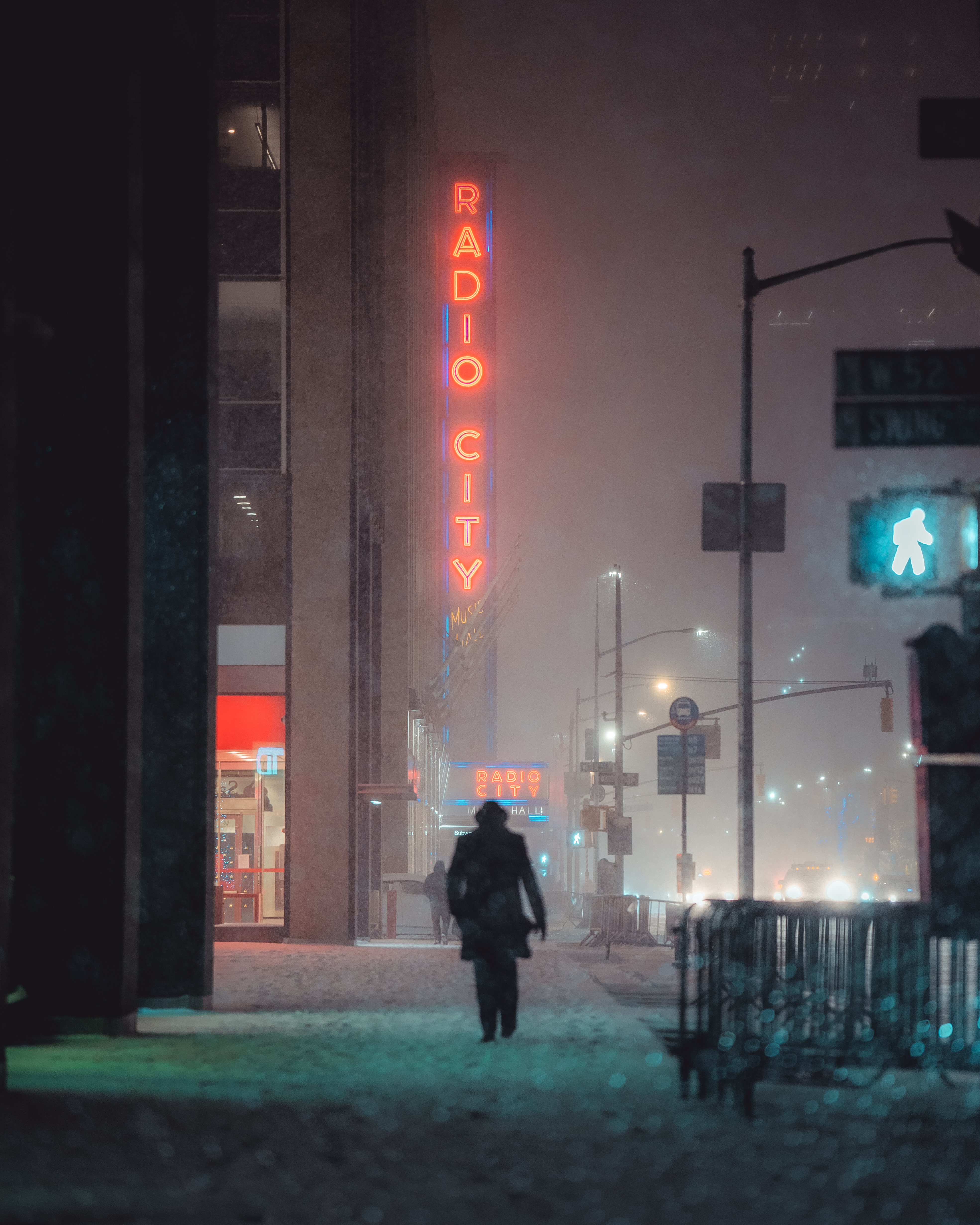 #5 Long road ahead - Winter in NYC