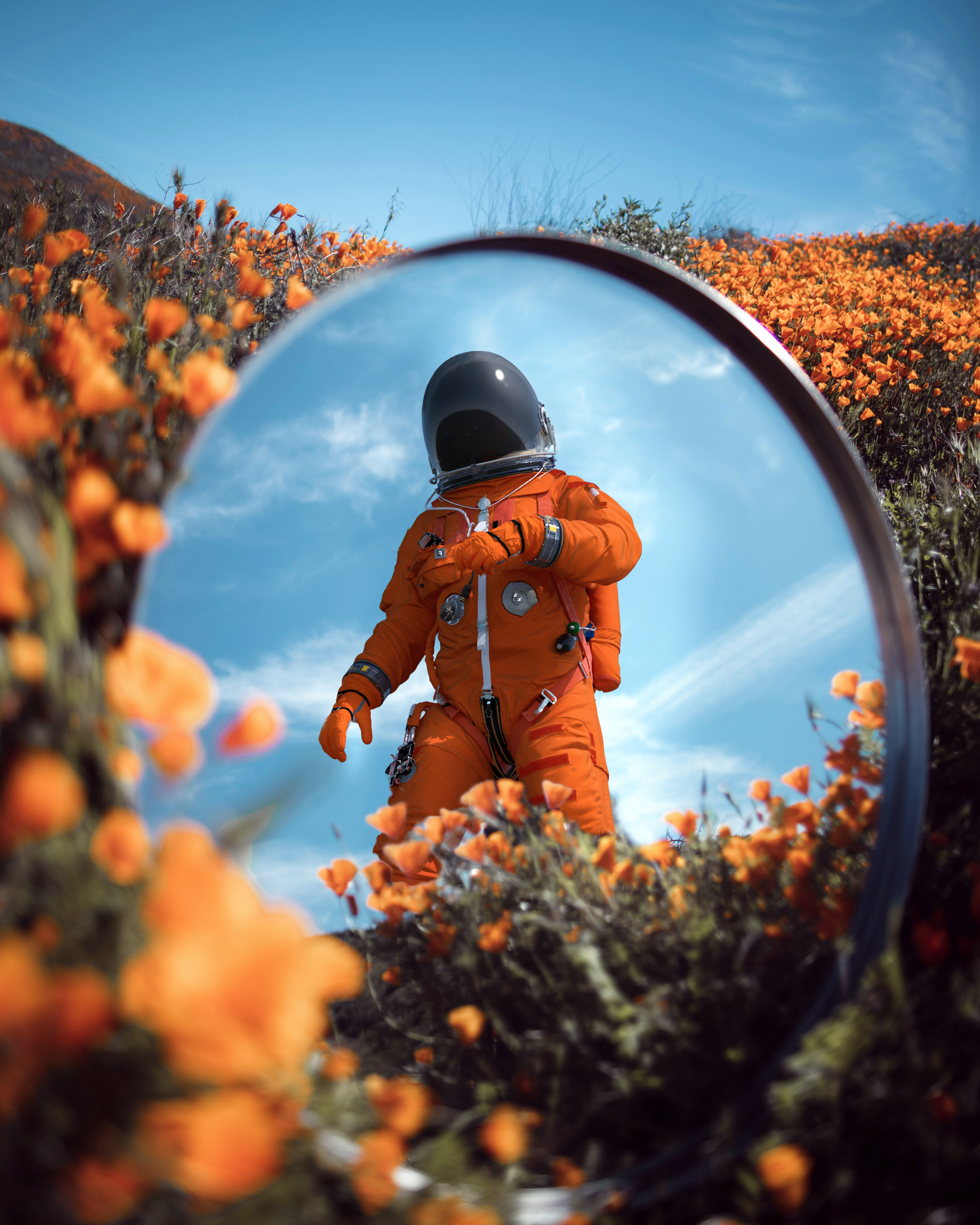 The Astronaut