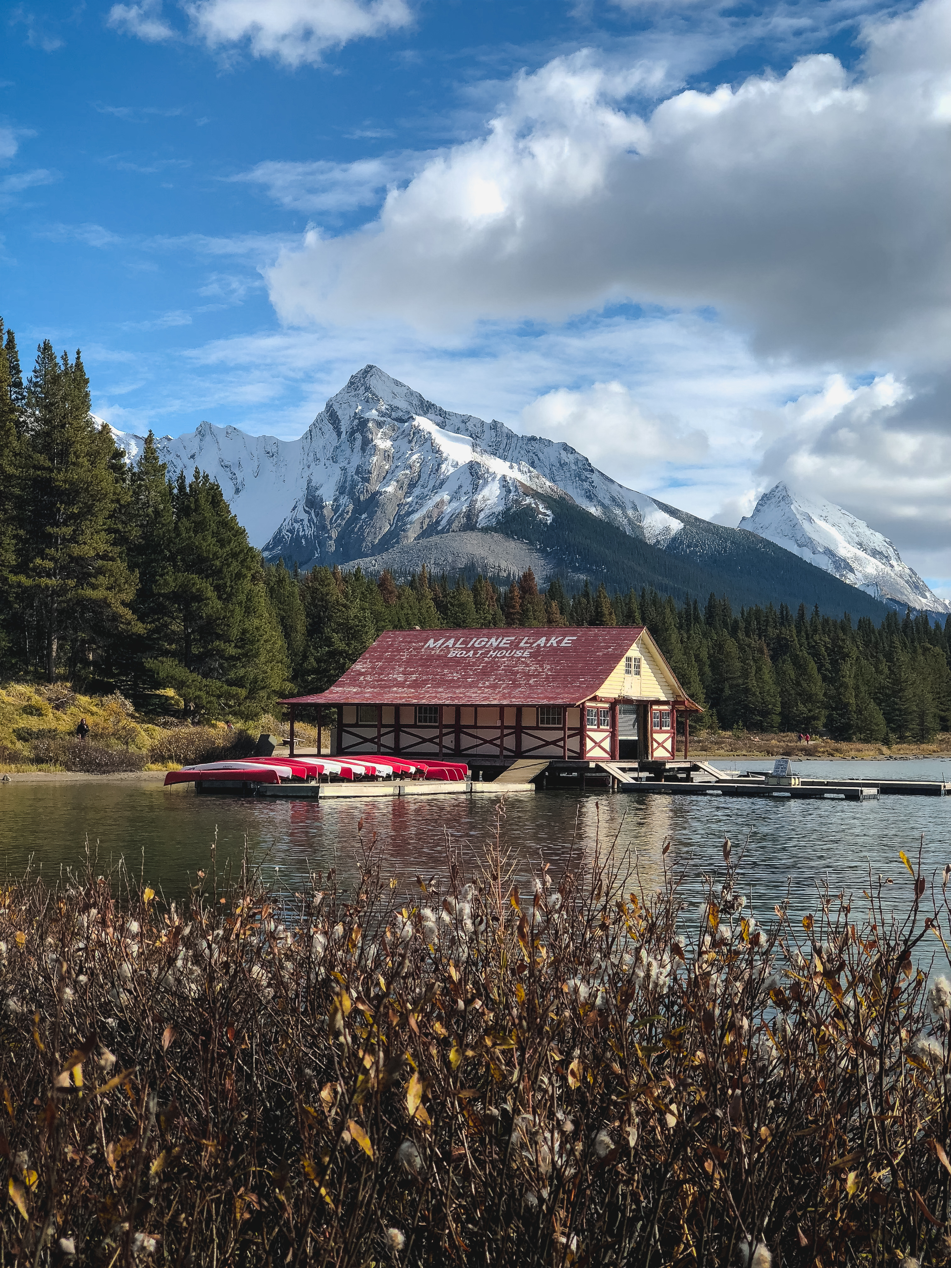 CS Community Collection #85