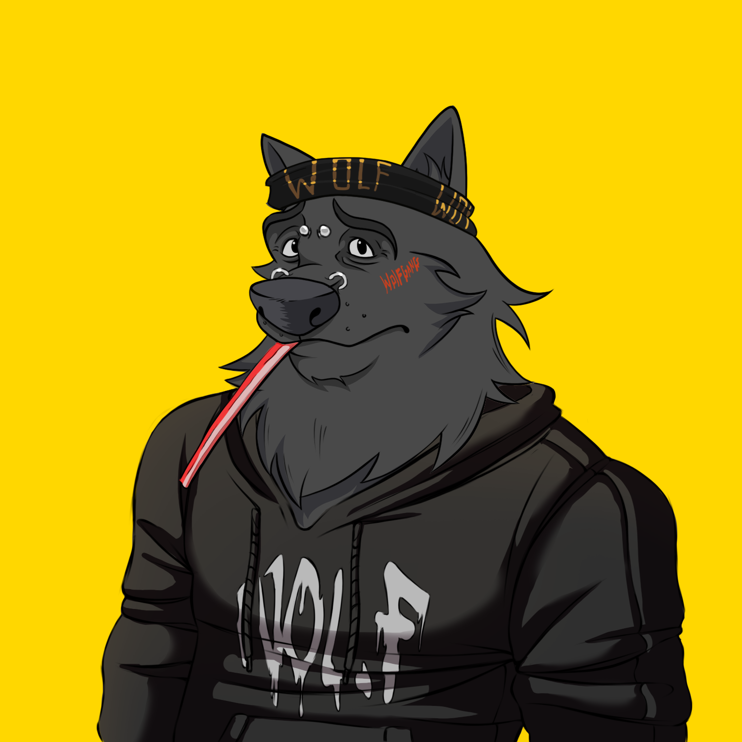 0xWolfgang #1029